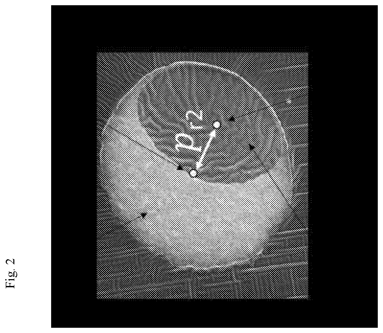 Patent US12104284 Figure 2 – Crimped multi-component fibers