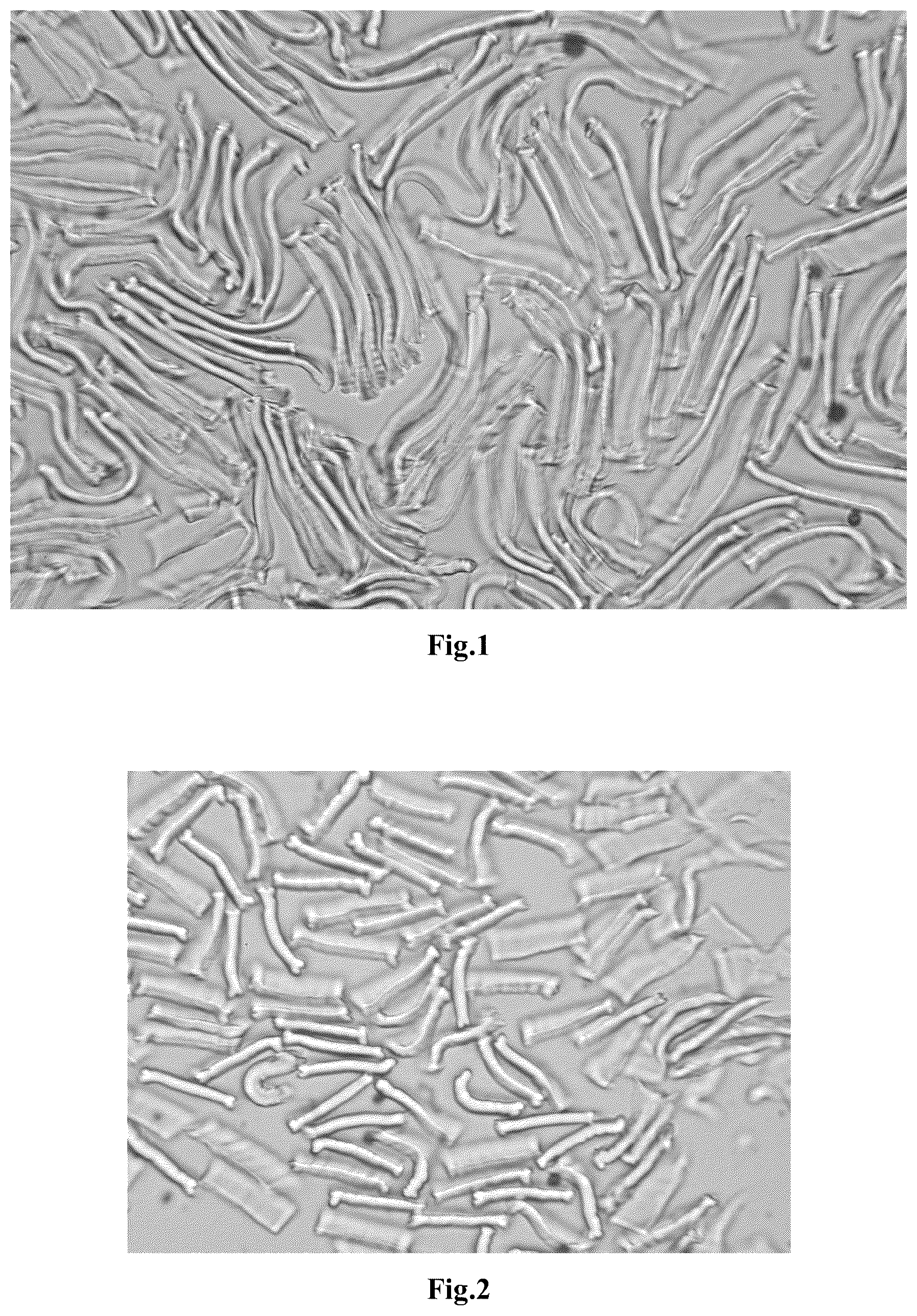 Patent US12104299 Figure 1 – Use of a viscose fiber