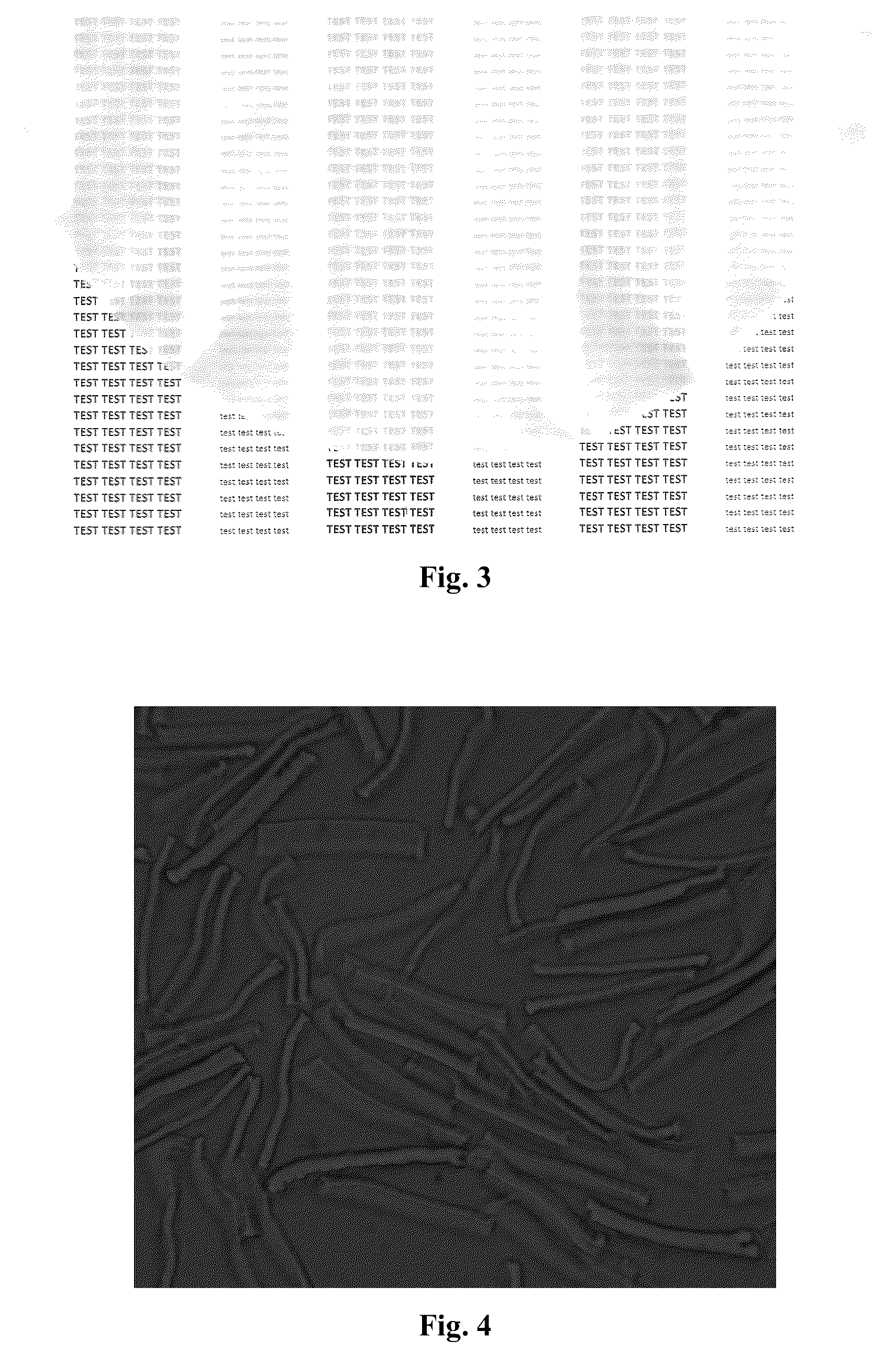 Patent US12104299 Figure 2 – Use of a viscose fiber
