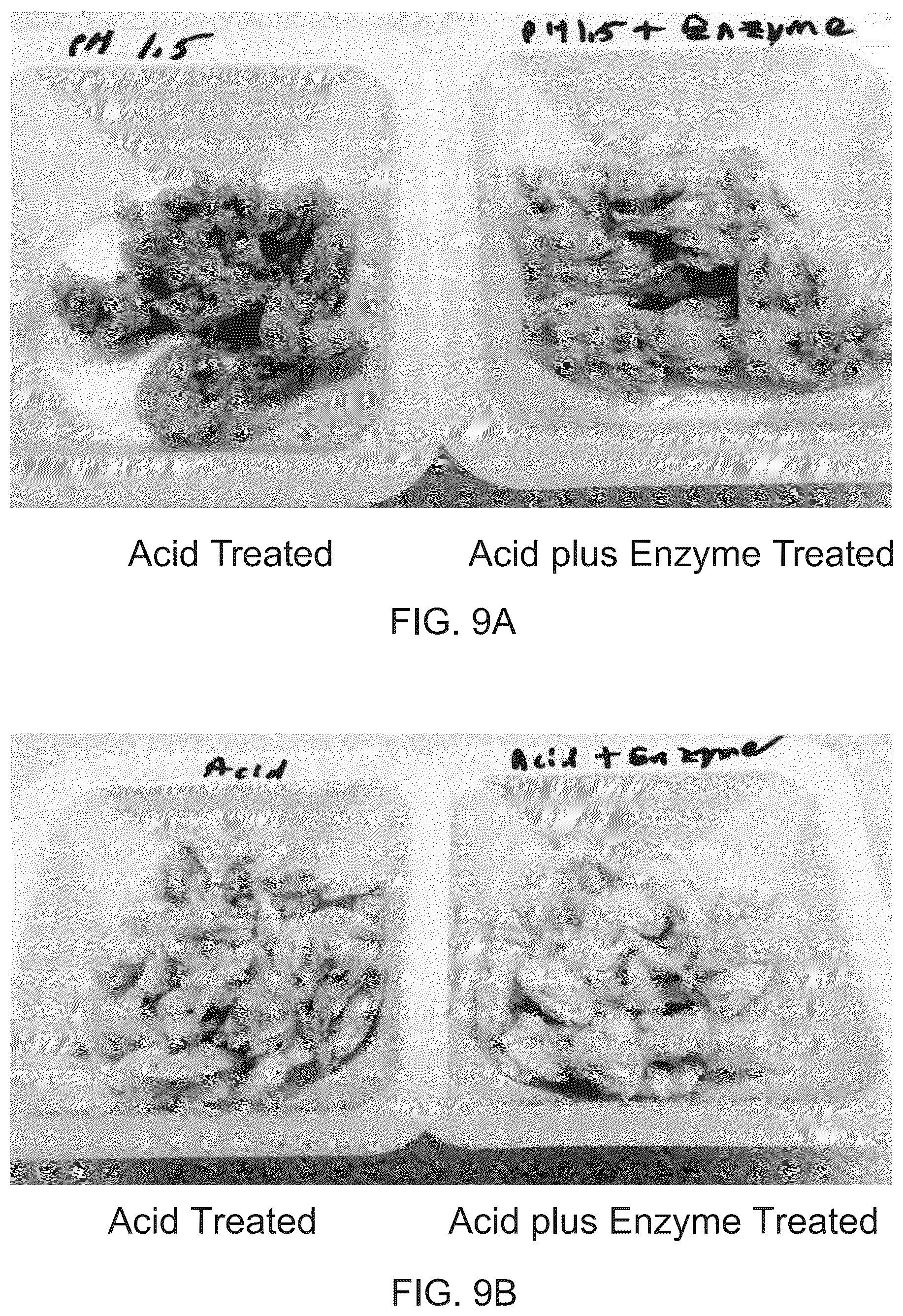 Patent US12104320 Figure 8 – Enzymatic and acid methods for individualizing trichomes
