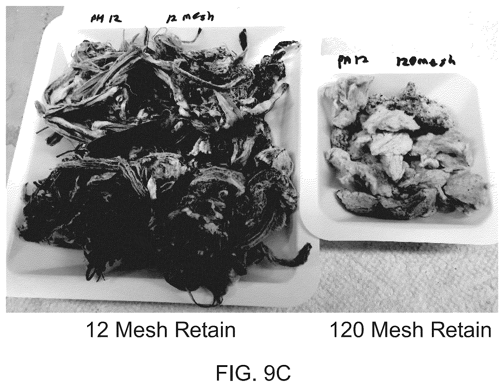 Patent US12104320 Figure 9 – Enzymatic and acid methods for individualizing trichomes
