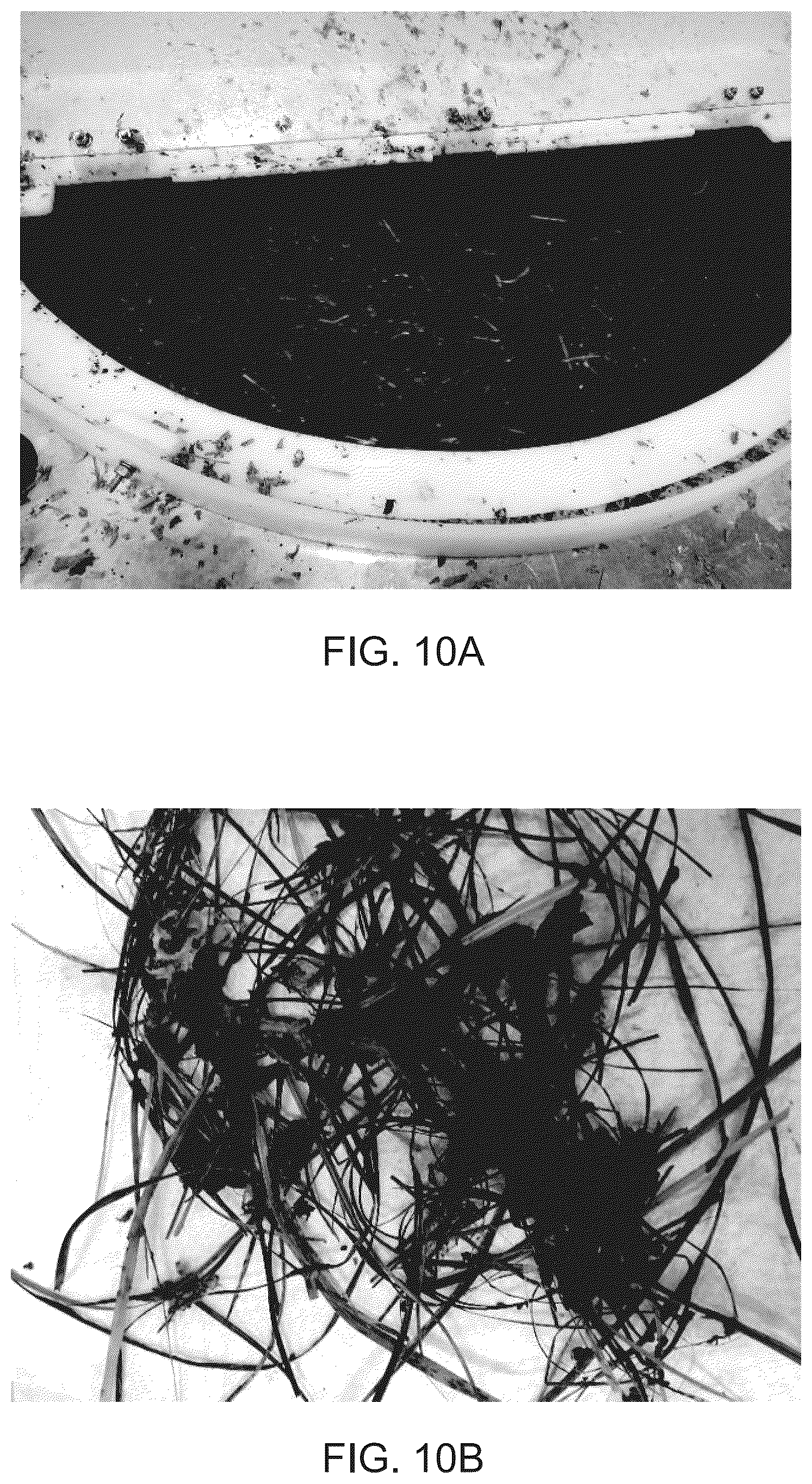 Patent US12104320 Figure 10 – Enzymatic and acid methods for individualizing trichomes