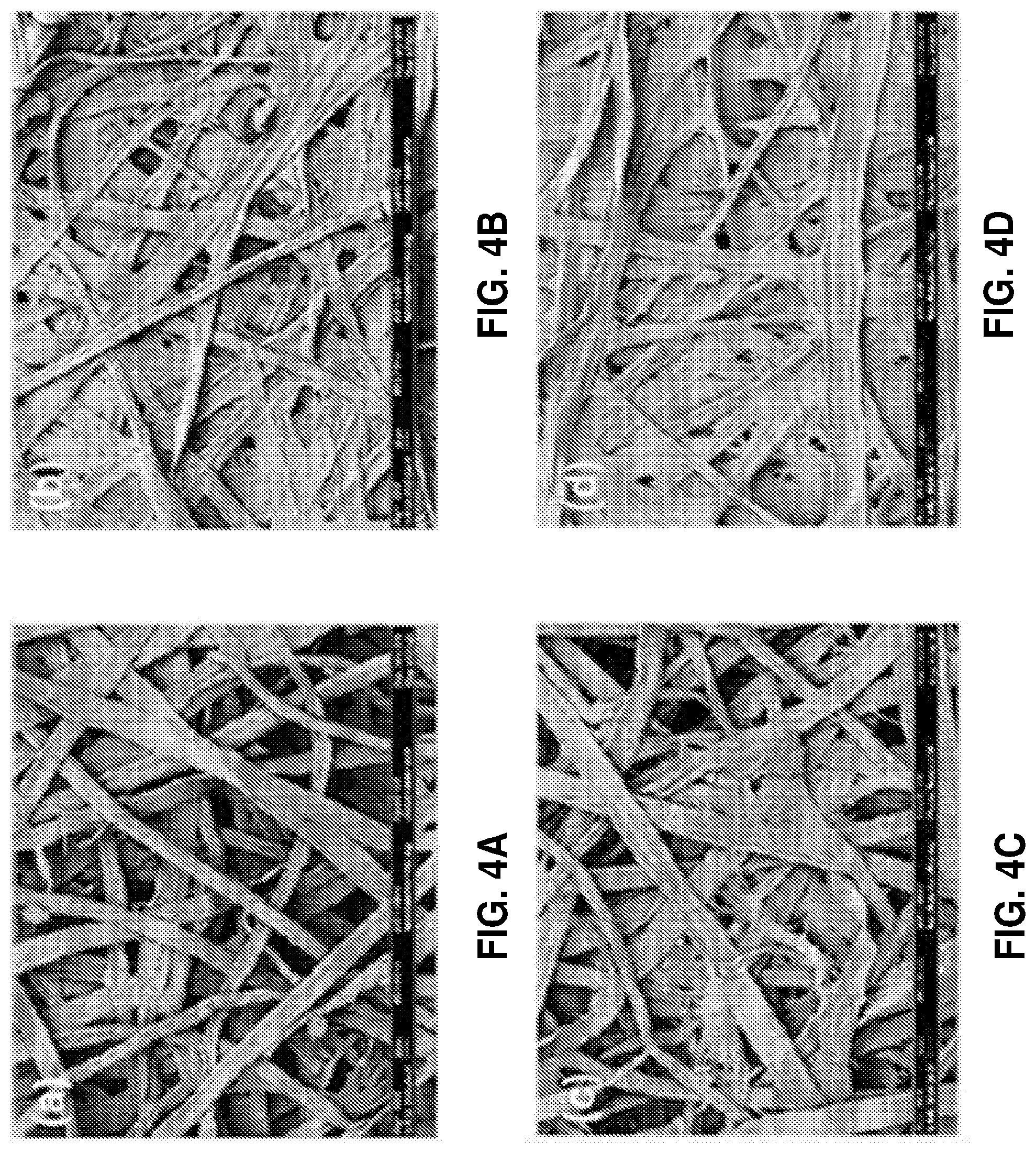 Patent US12104324 Figure 6 – Paper products and pulps with surface enhanced pulp fibers and increased absorbency, and methods of making same