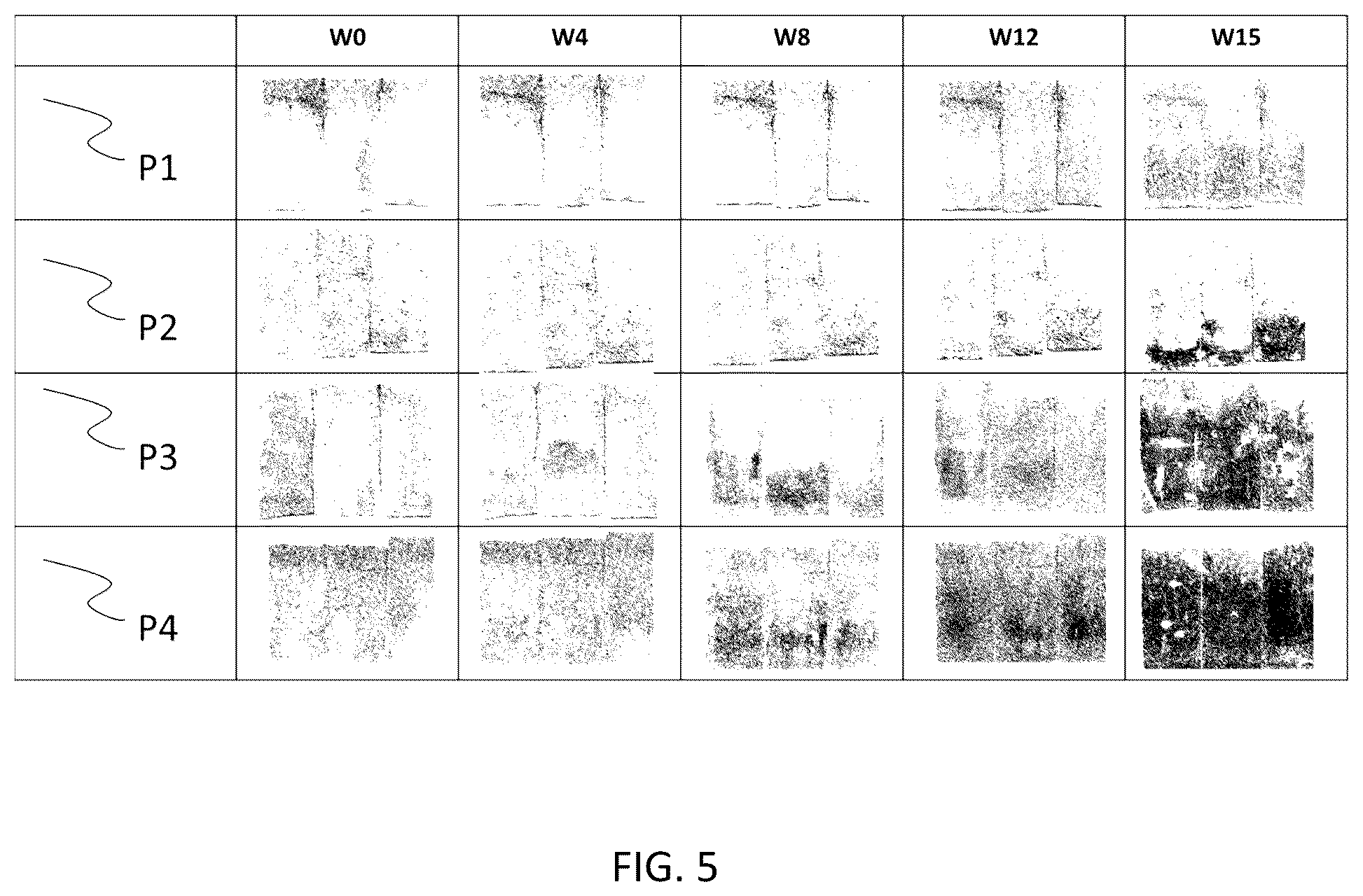 Patent US12104379 Figure 5 – Microbial growth and dust retardant roofing shingles