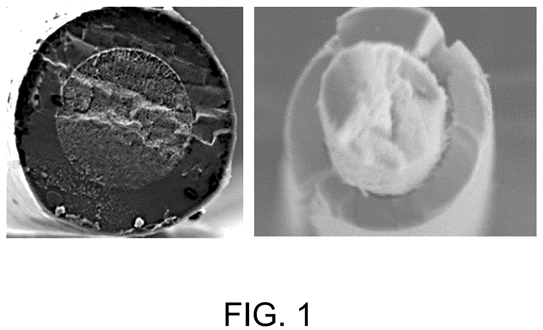 Patent US12104882 Figure 1 – Skin-core structure fibers with both infrared and radar stealth, preparation method therefor, and use thereof