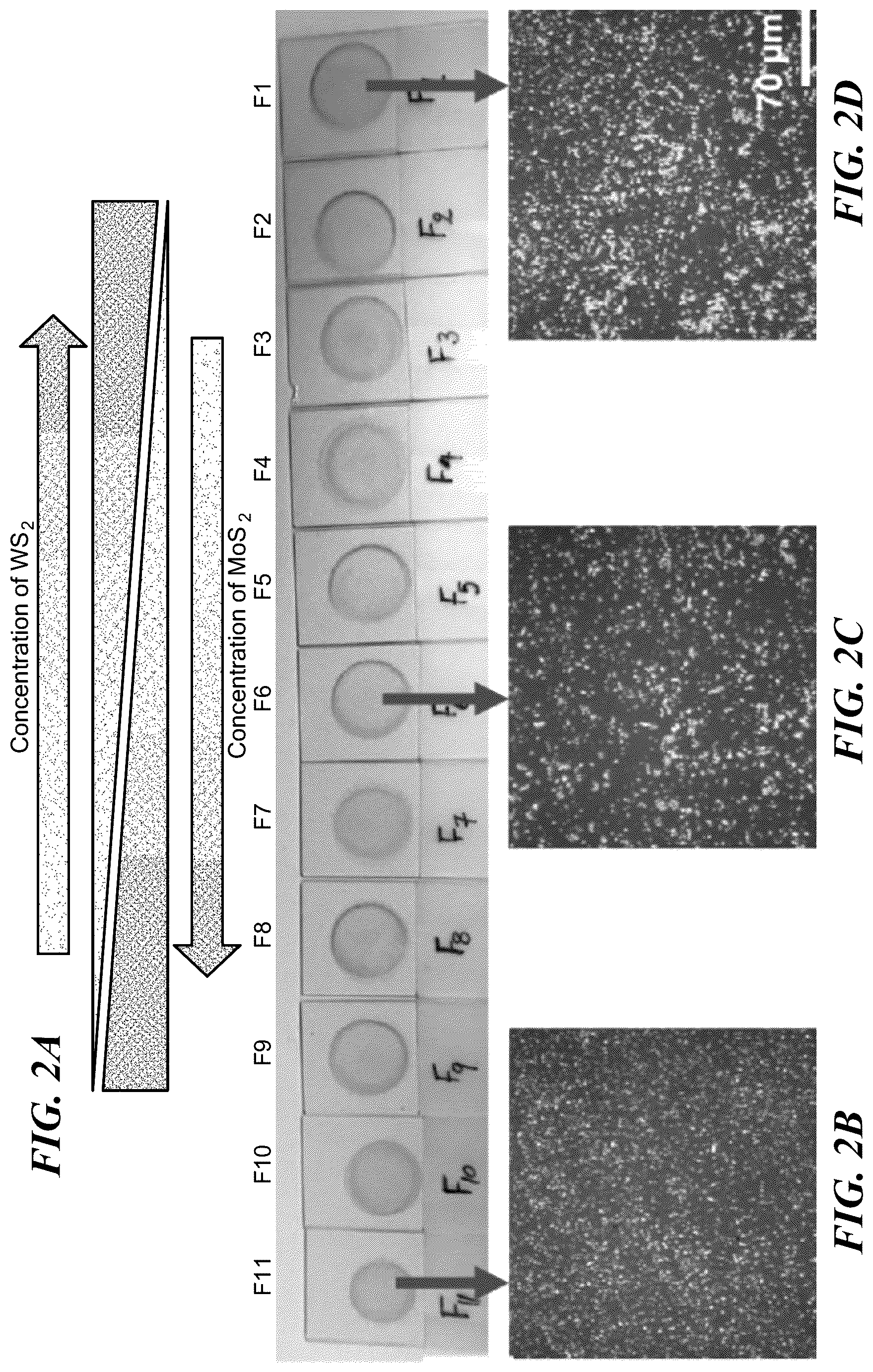 Patent US12104958 Figure 2 – Device and method for color indentification