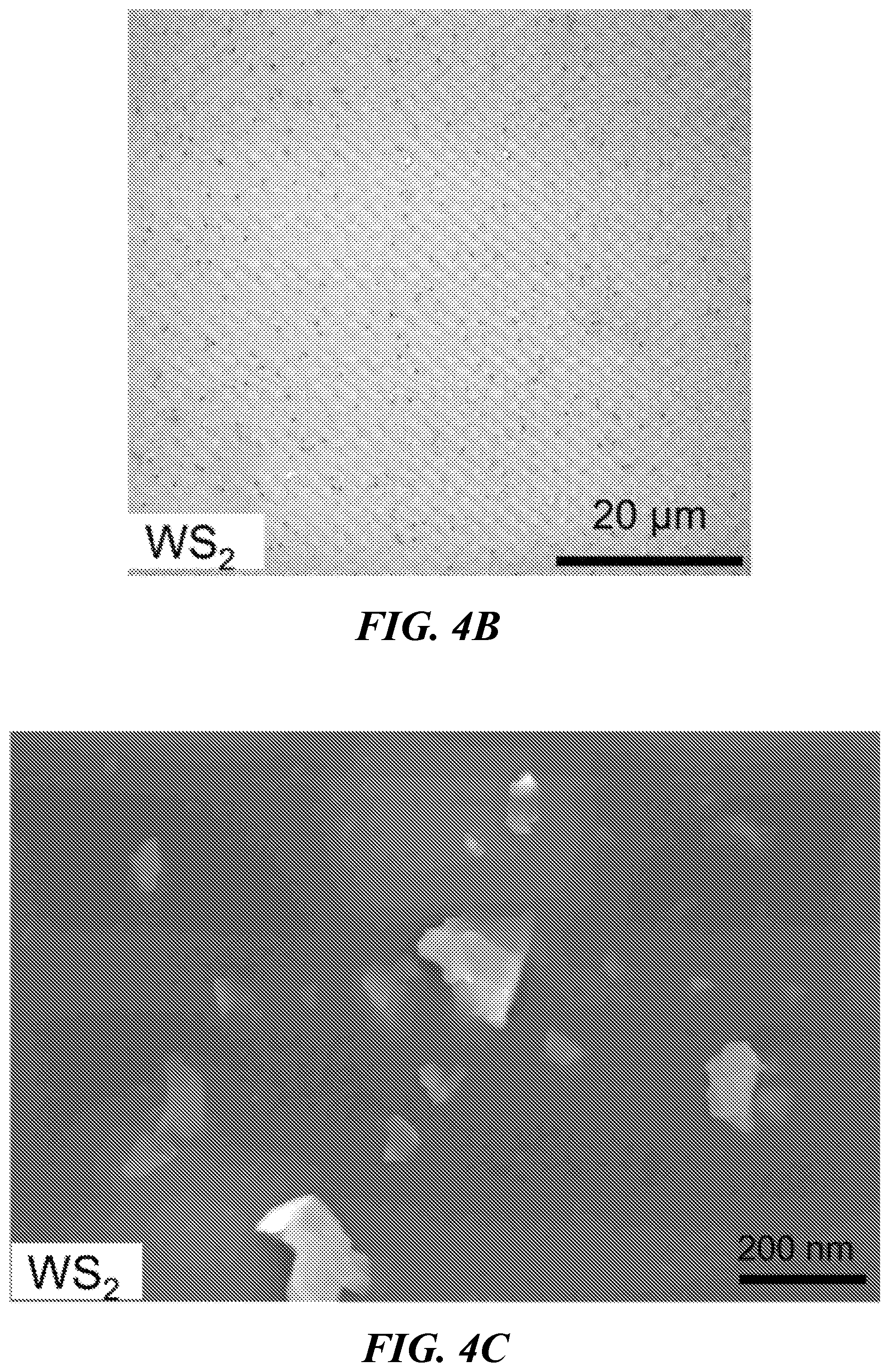 Patent US12104958 Figure 6 – Device and method for color indentification