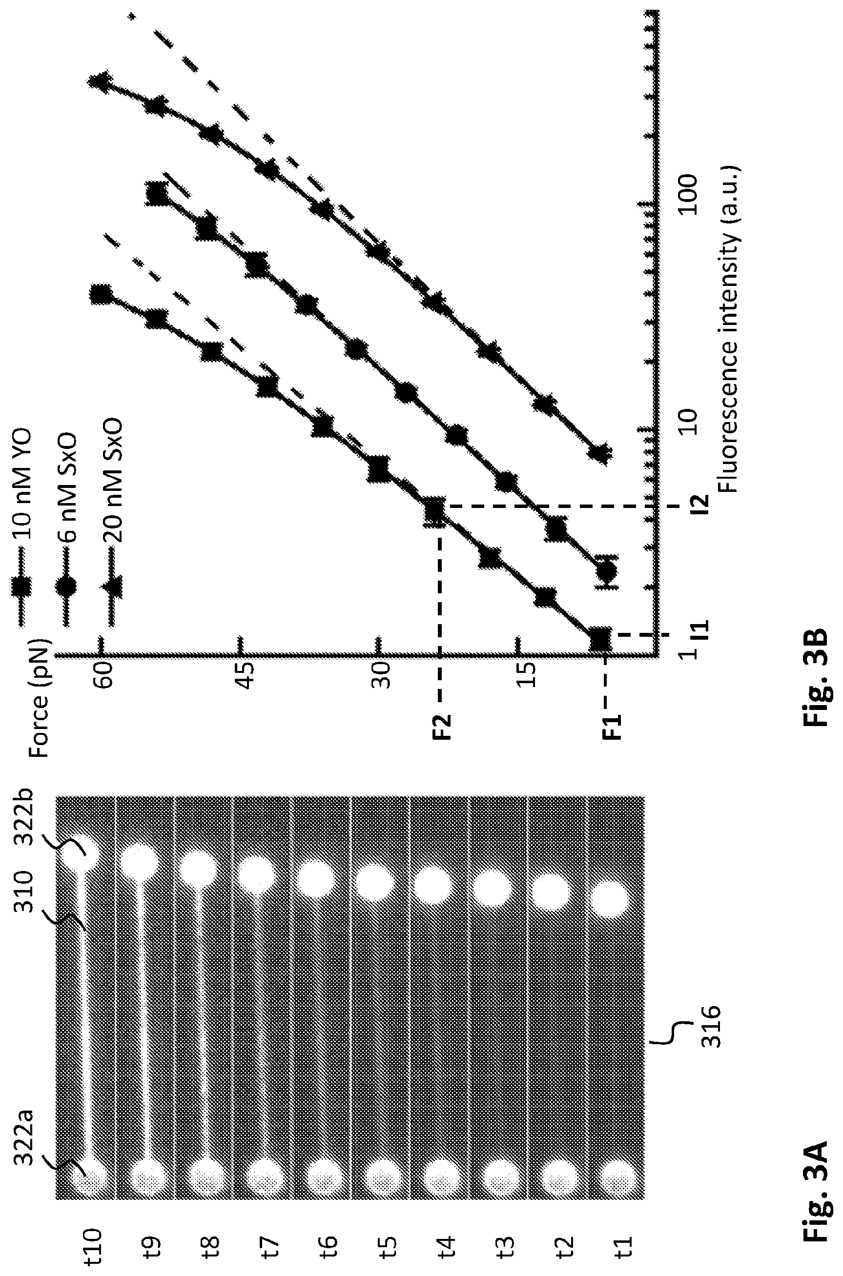 Patent US12104971 Figure 3 – Method and system for optical force measurement