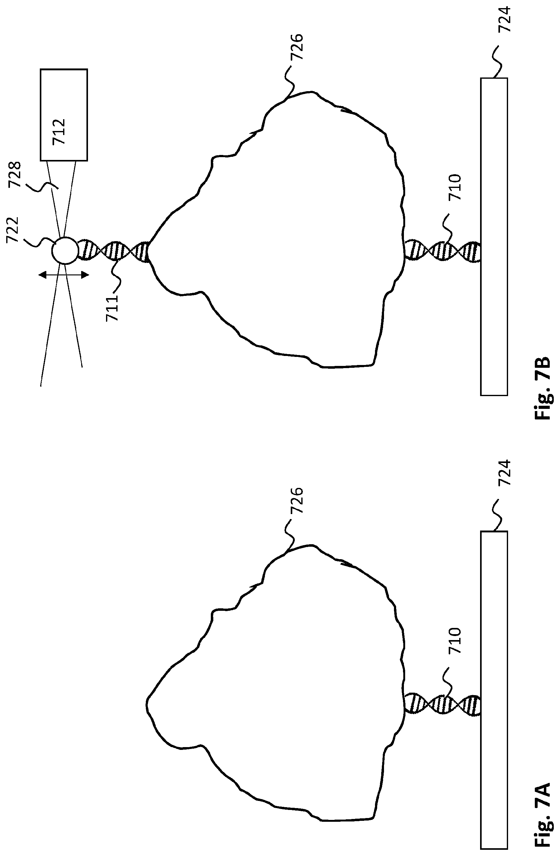 Patent US12104971 Figure 8 – Method and system for optical force measurement