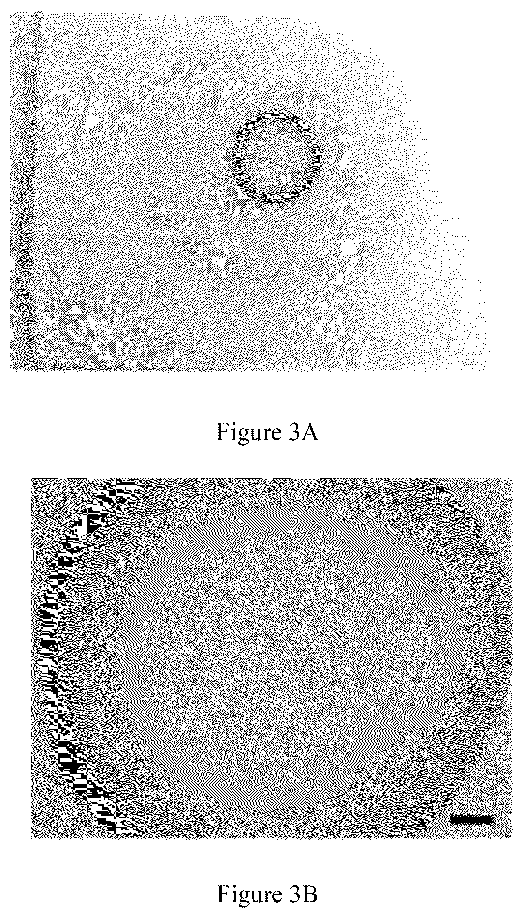 Patent US12105024 Figure 3 – Substrate-immobilized optical nanosensors