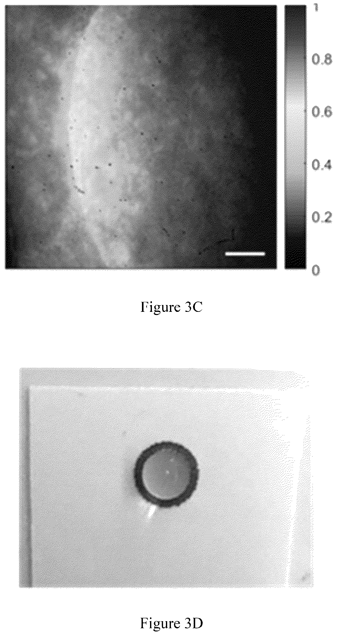 Patent US12105024 Figure 4 – Substrate-immobilized optical nanosensors