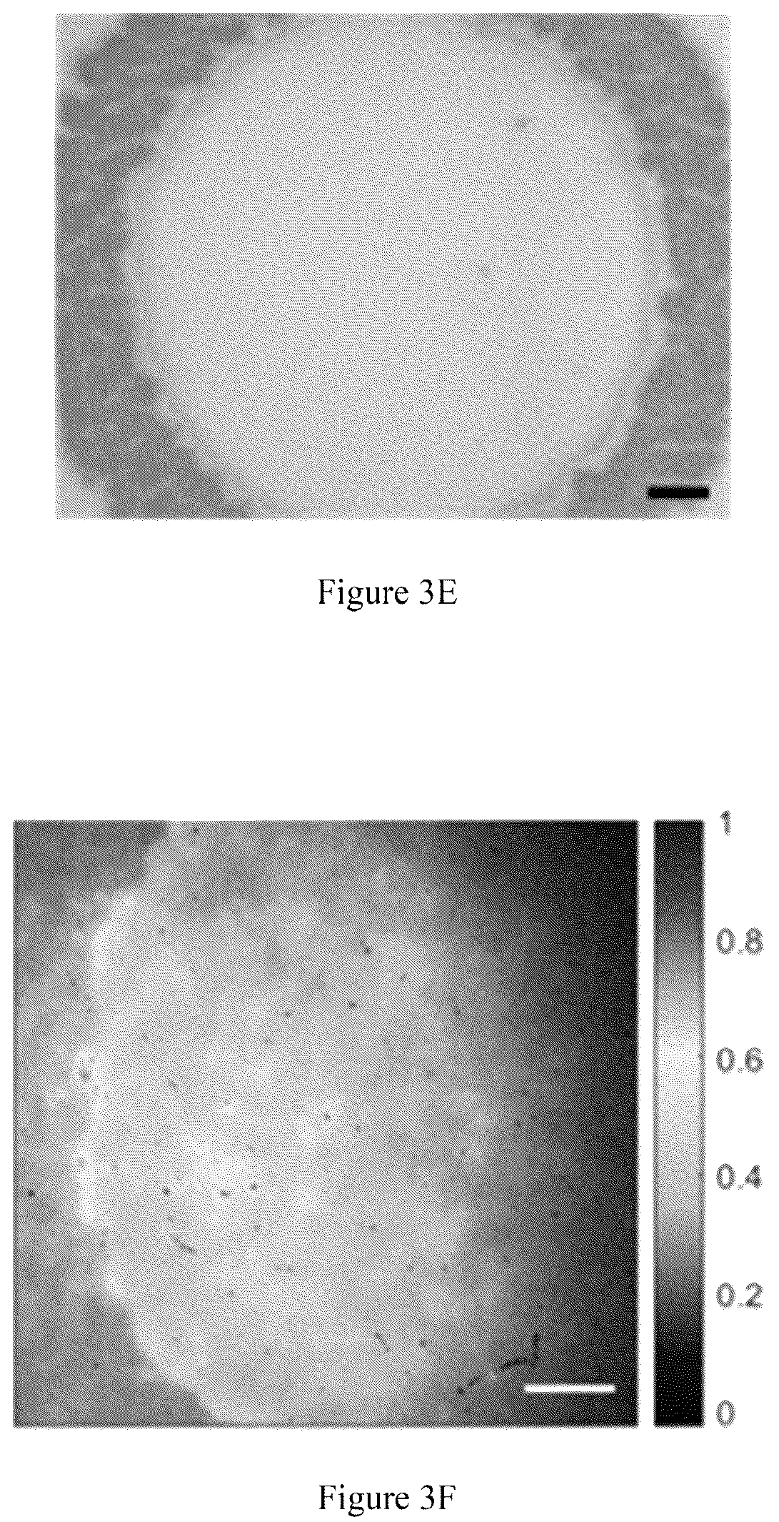 Patent US12105024 Figure 5 – Substrate-immobilized optical nanosensors