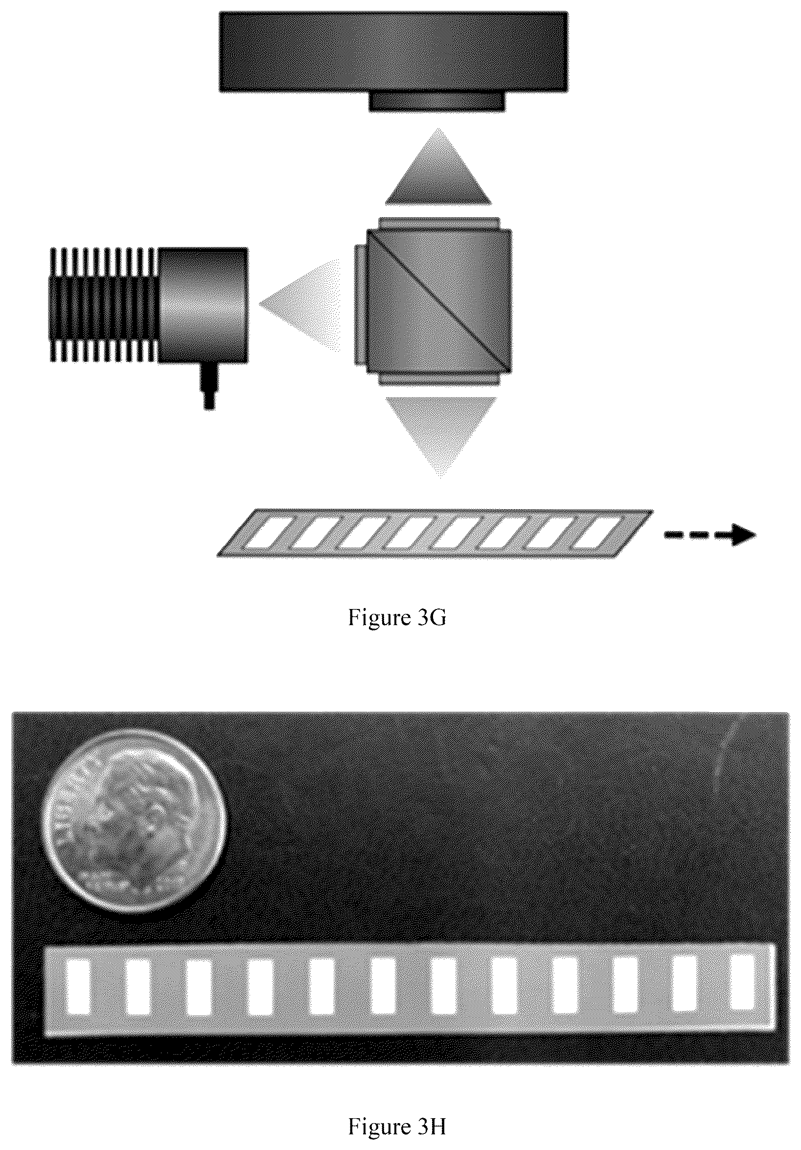 Patent US12105024 Figure 6 – Substrate-immobilized optical nanosensors