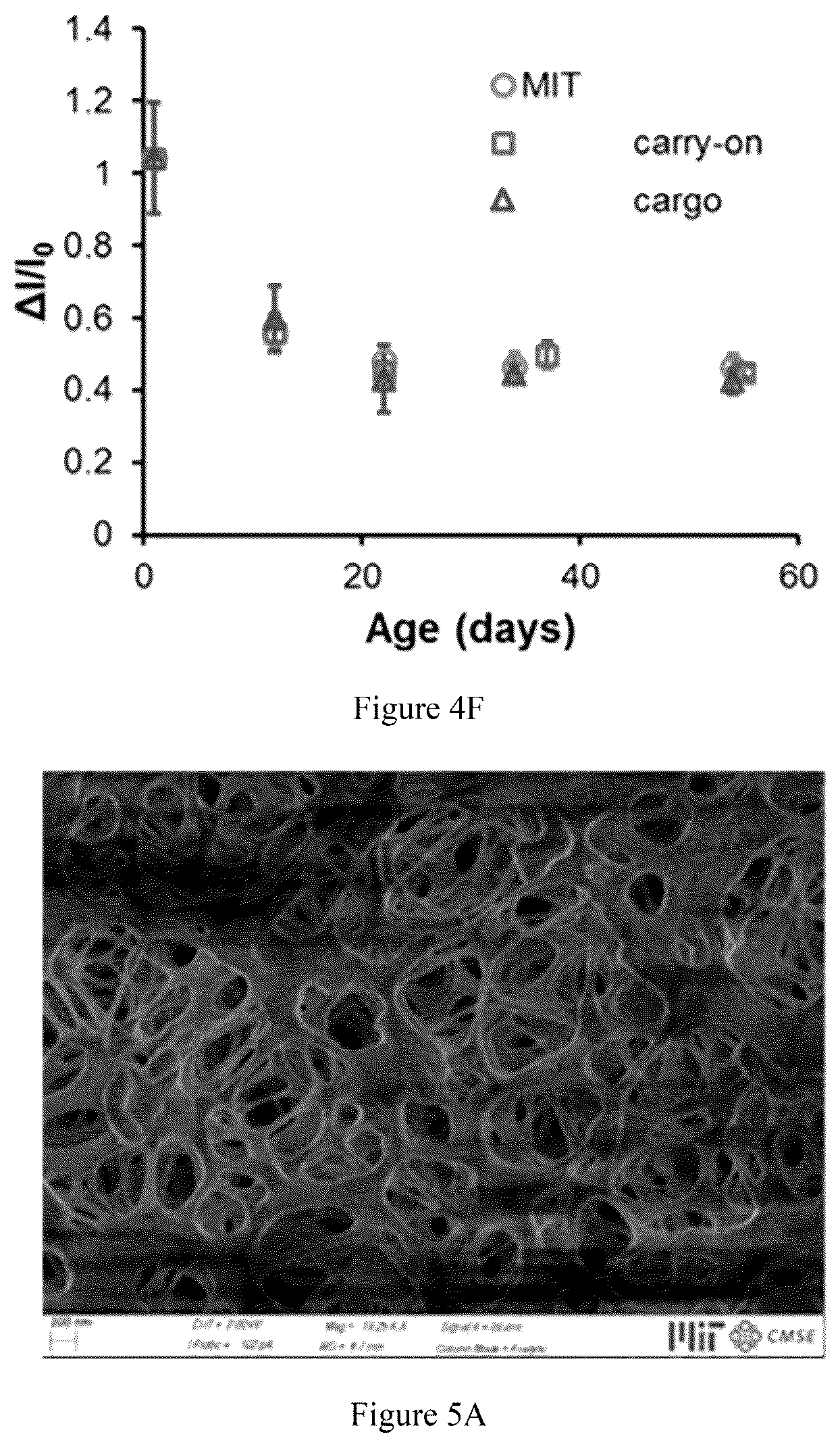 Patent US12105024 Figure 10 – Substrate-immobilized optical nanosensors