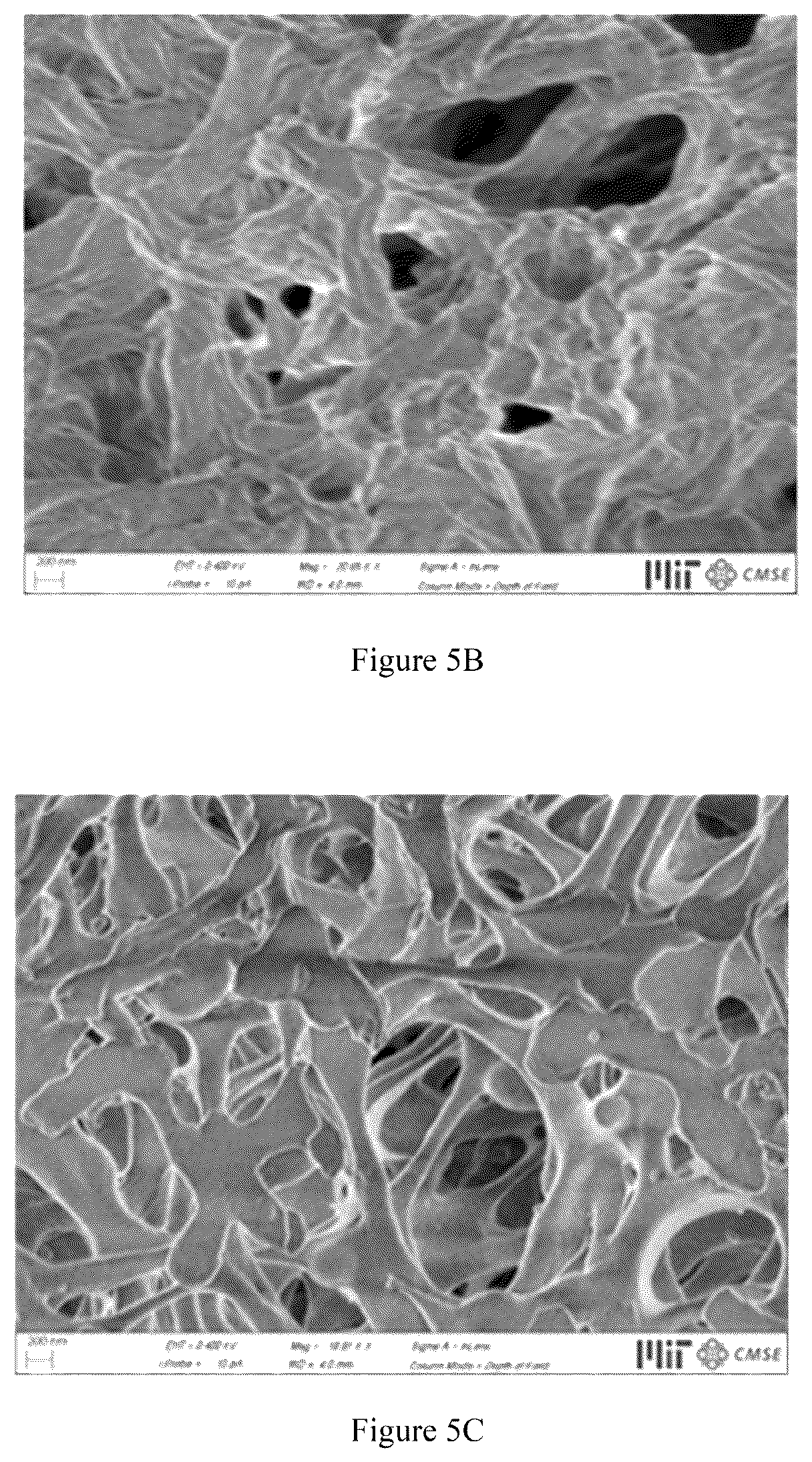 Patent US12105024 Figure 11 – Substrate-immobilized optical nanosensors