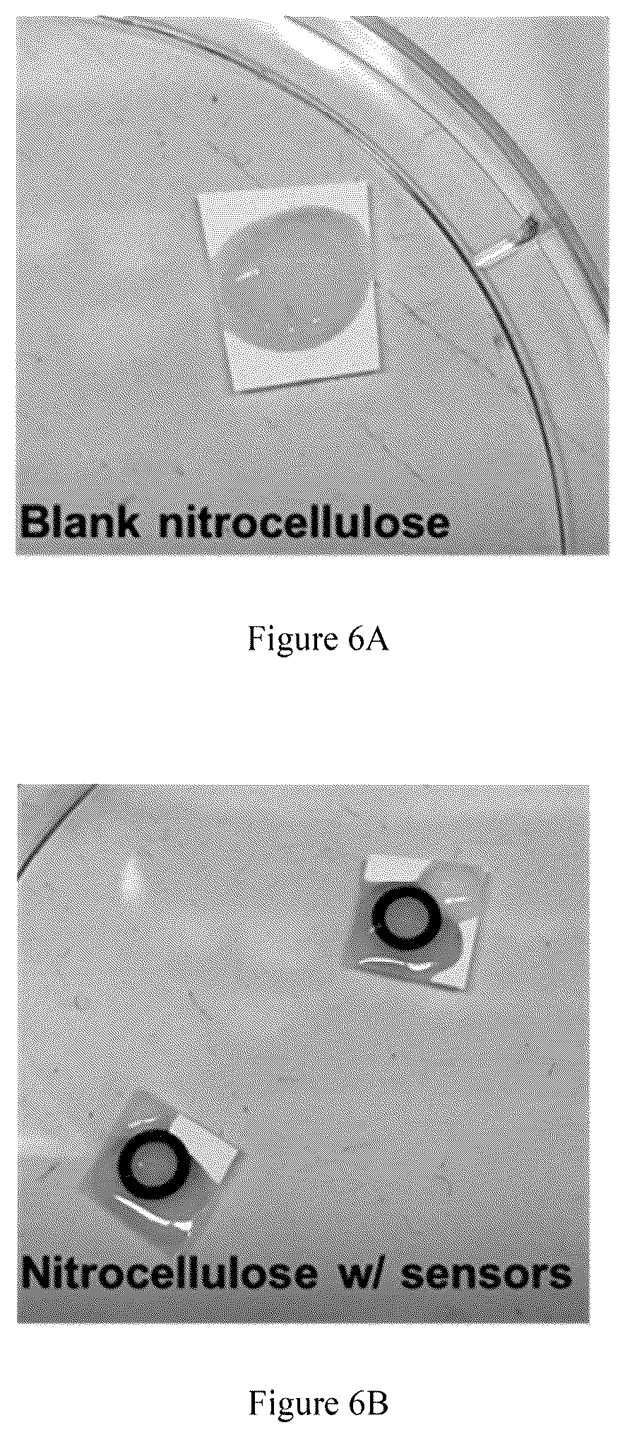 Patent US12105024 Figure 12 – Substrate-immobilized optical nanosensors