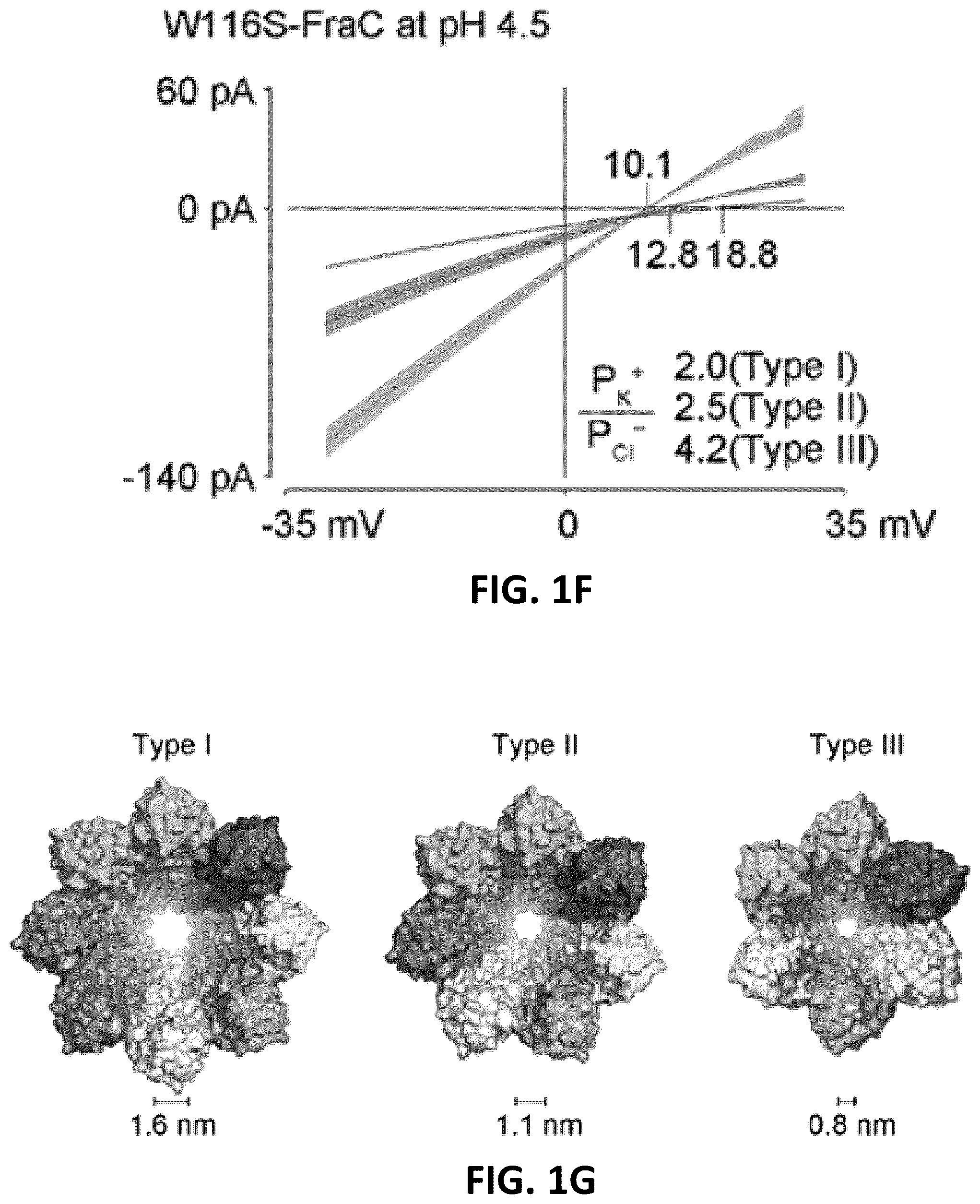 Patent US12105079 Figure 3 – Biological nanopores having tunable pore diameters and uses thereof as analytical tools
