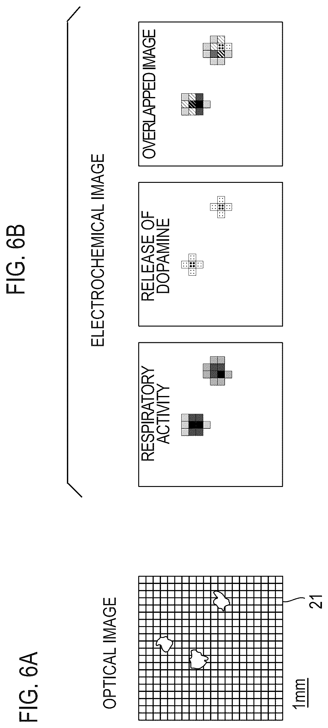 Patent US12105080 Figure 5 – Electrochemical measurement apparatus and transducer