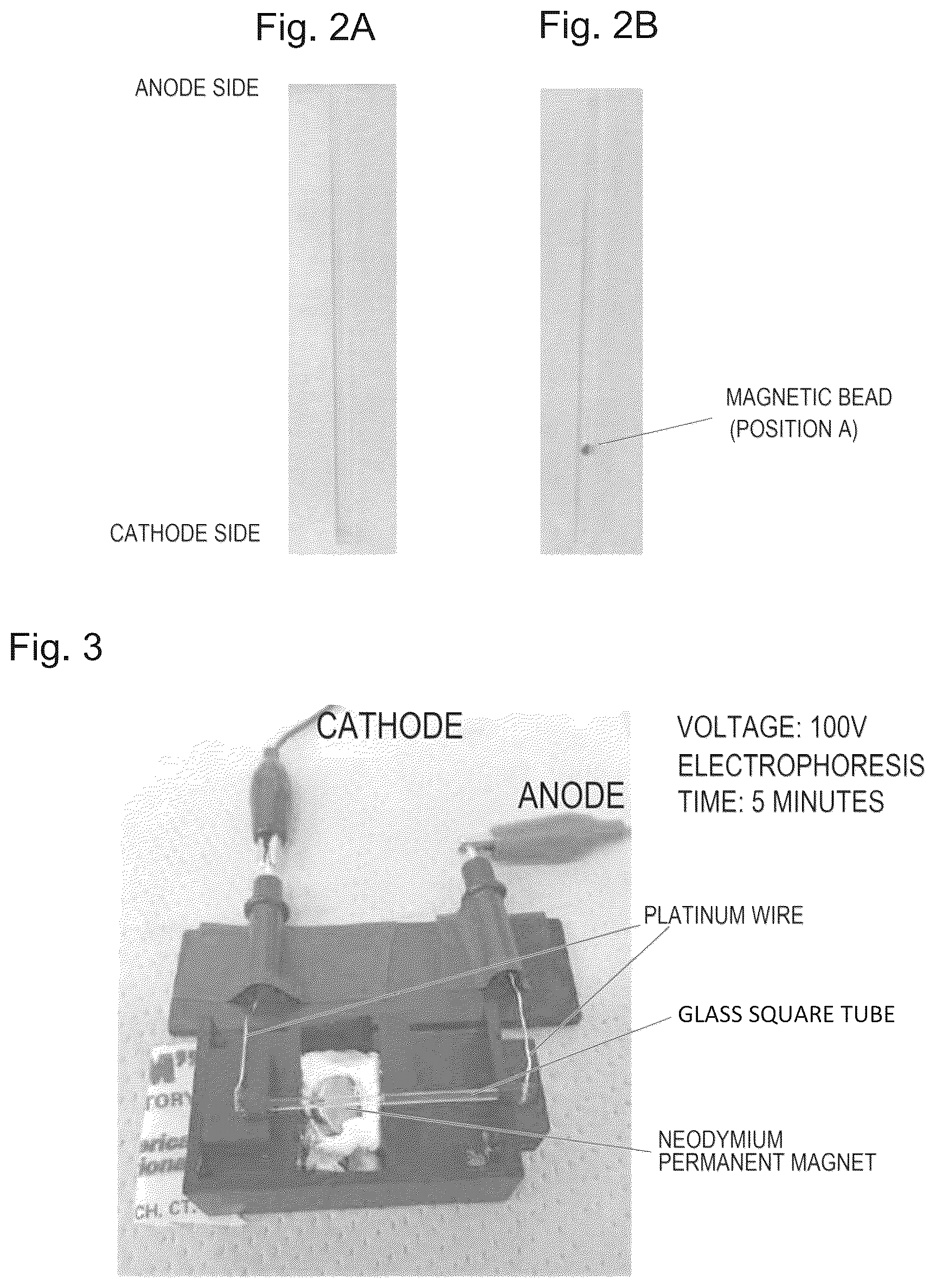 Patent US12105082 Figure 3 – Target substance separation method and quantification method