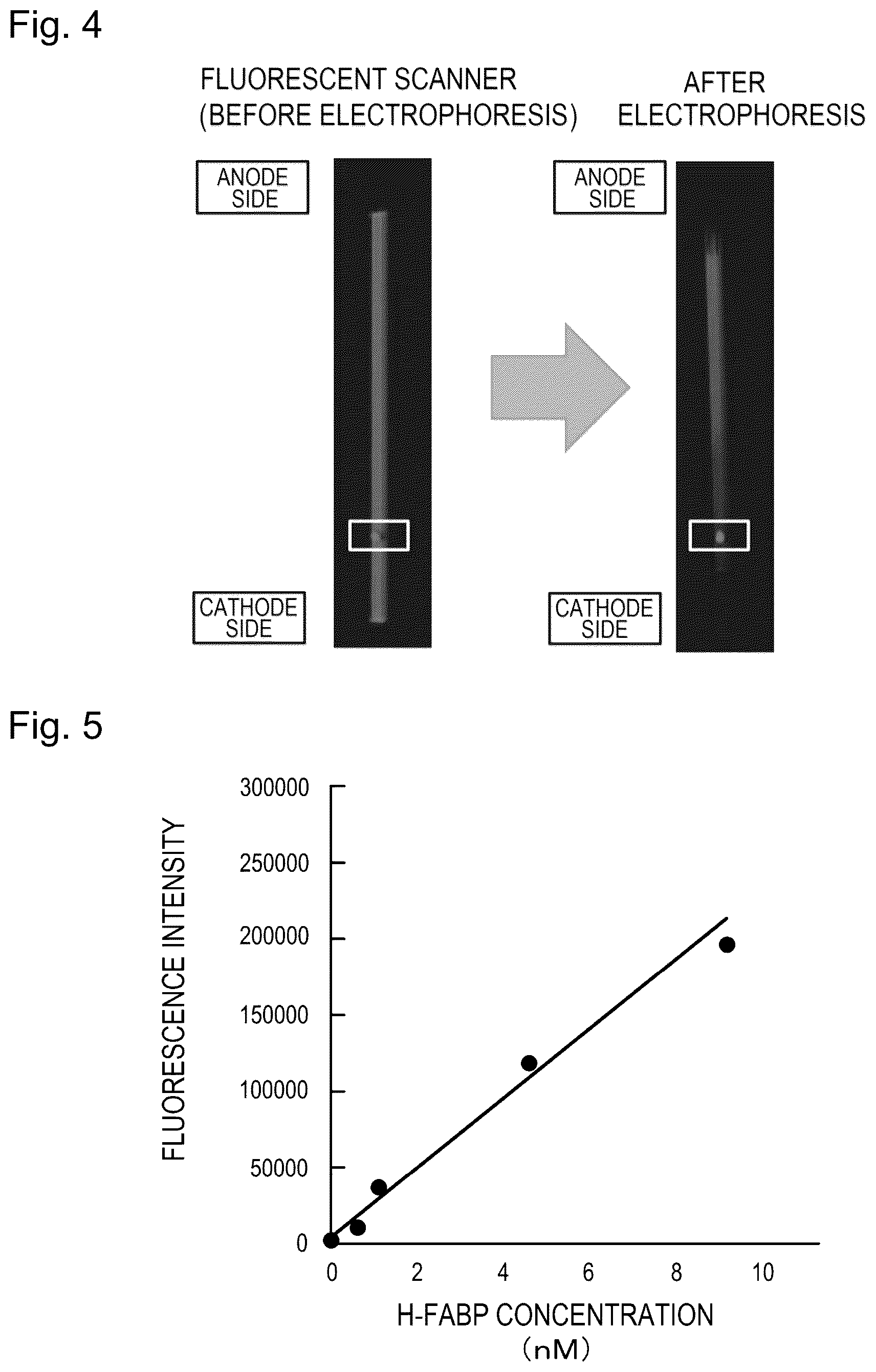 Patent US12105082 Figure 4 – Target substance separation method and quantification method