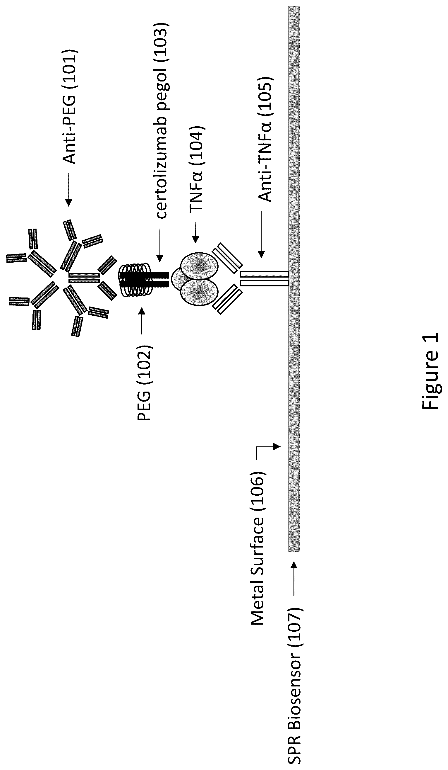 Patent US12105083 Figure 1 – Methods for detecting antibodies by surface plasmon resonance