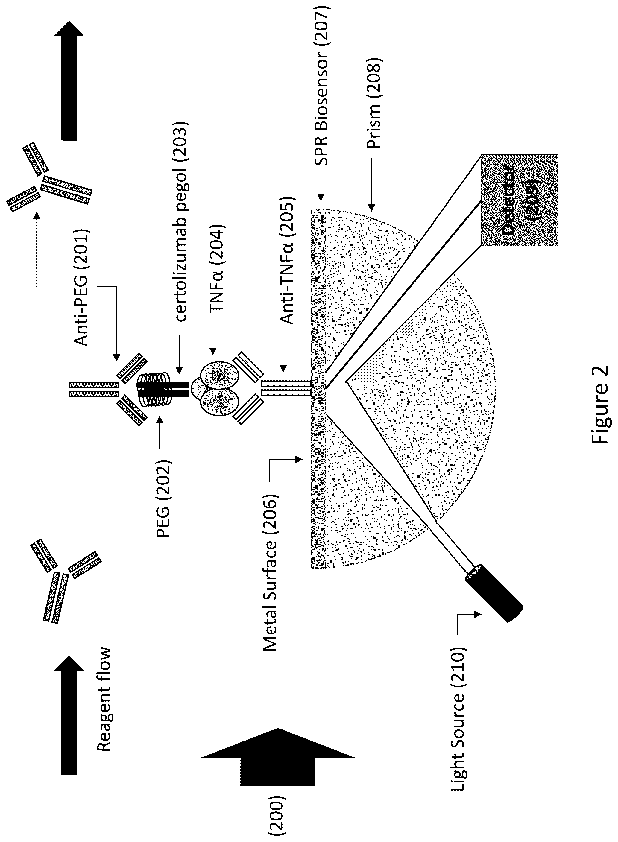 Patent US12105083 Figure 2 – Methods for detecting antibodies by surface plasmon resonance