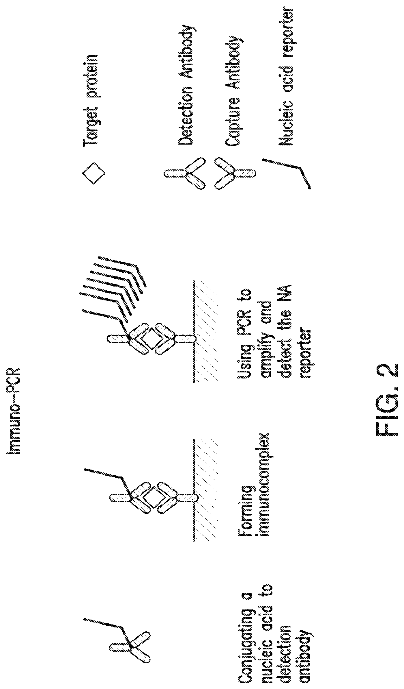 Patent US12105084 Figure 2 – Nucleic acid linked immune-sandwich assay (NULISA)