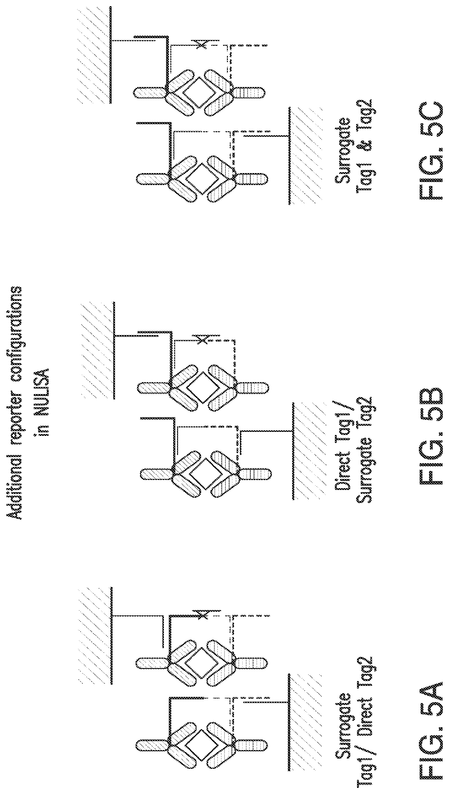 Patent US12105084 Figure 8 – Nucleic acid linked immune-sandwich assay (NULISA)