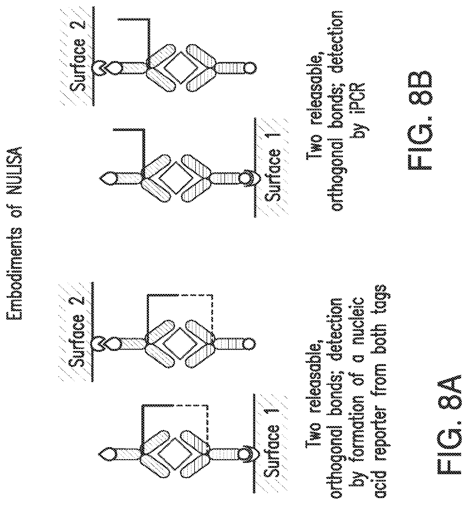 Patent US12105084 Figure 11 – Nucleic acid linked immune-sandwich assay (NULISA)