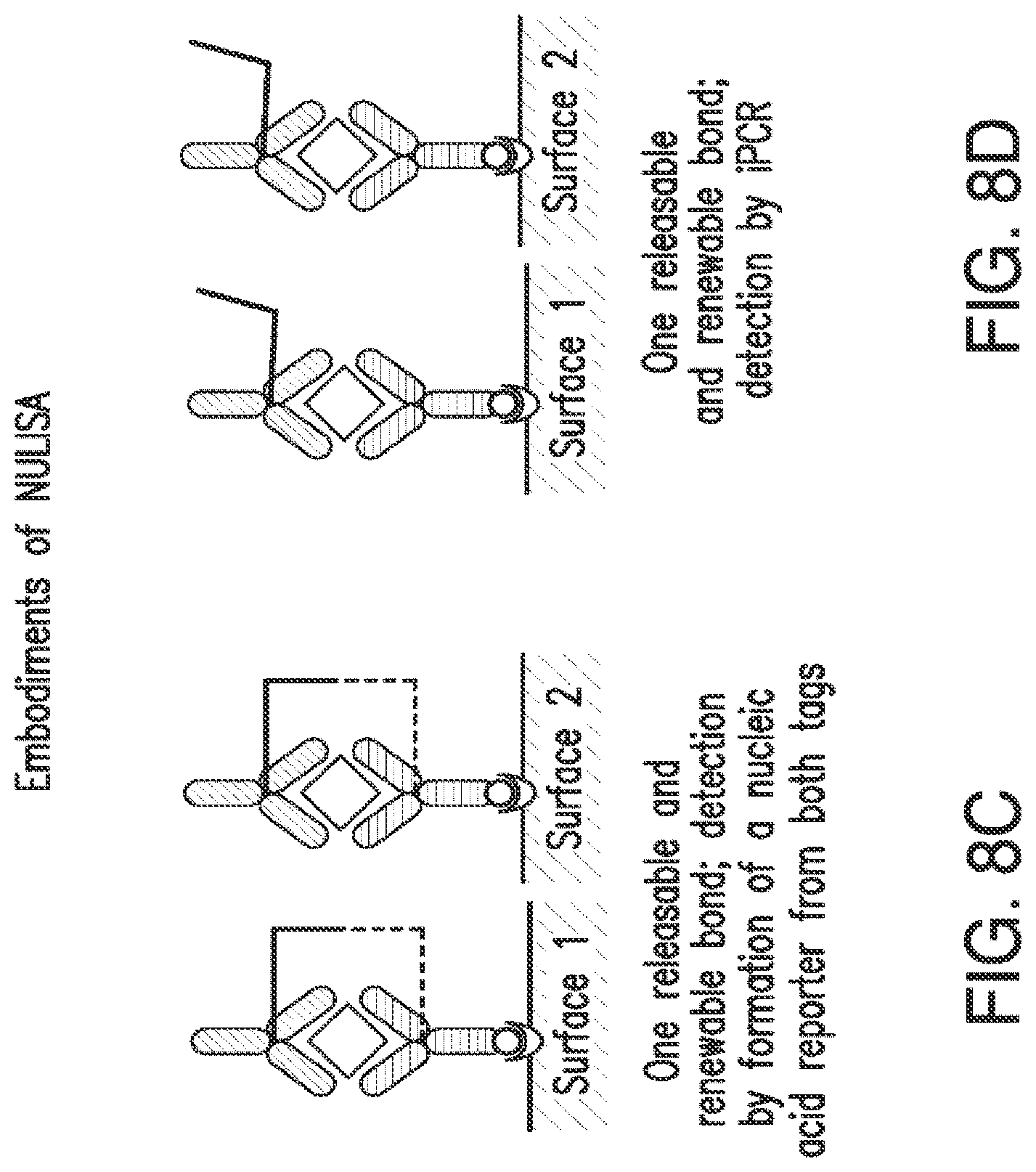 Patent US12105084 Figure 12 – Nucleic acid linked immune-sandwich assay (NULISA)
