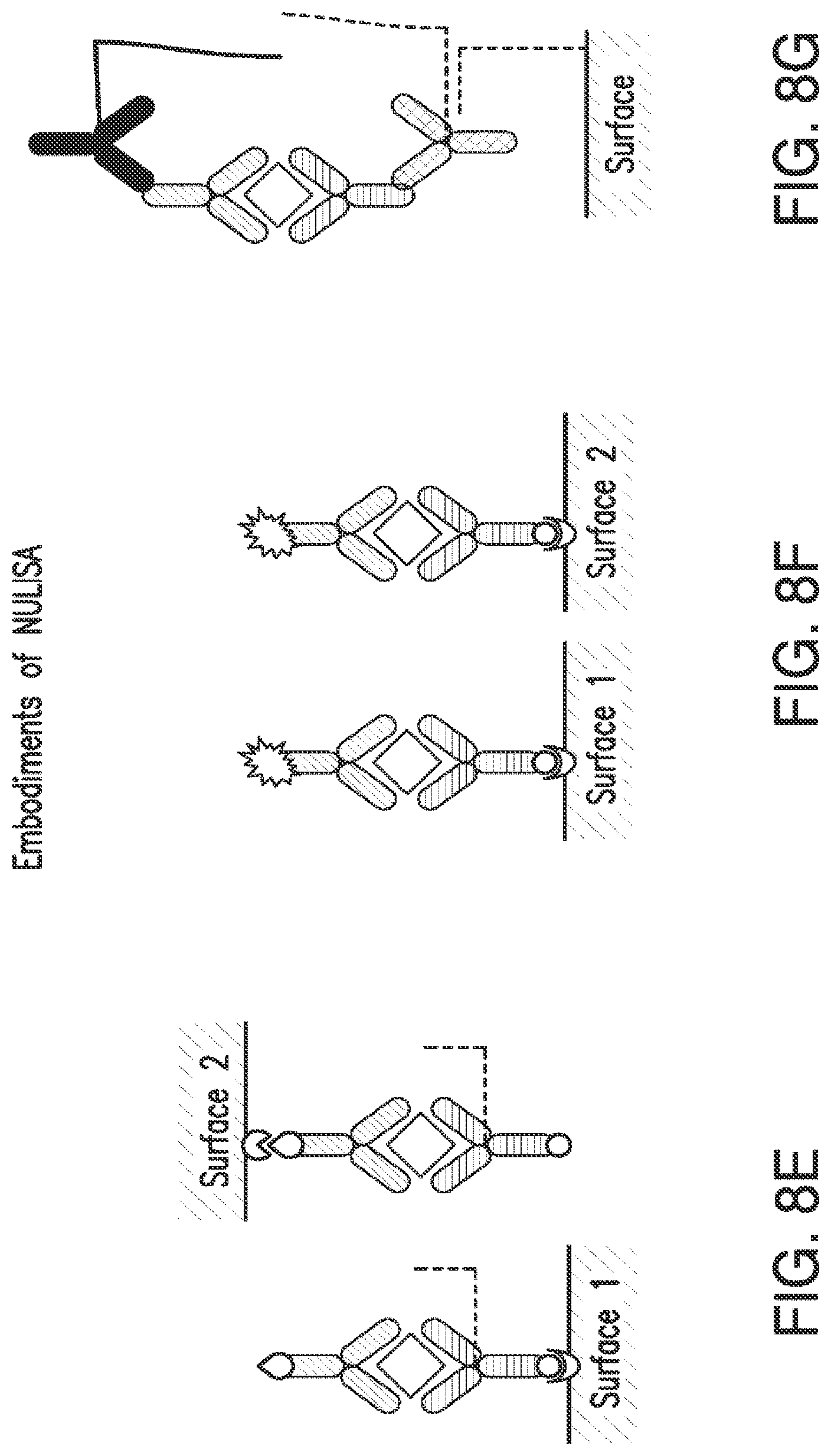 Patent US12105084 Figure 13 – Nucleic acid linked immune-sandwich assay (NULISA)