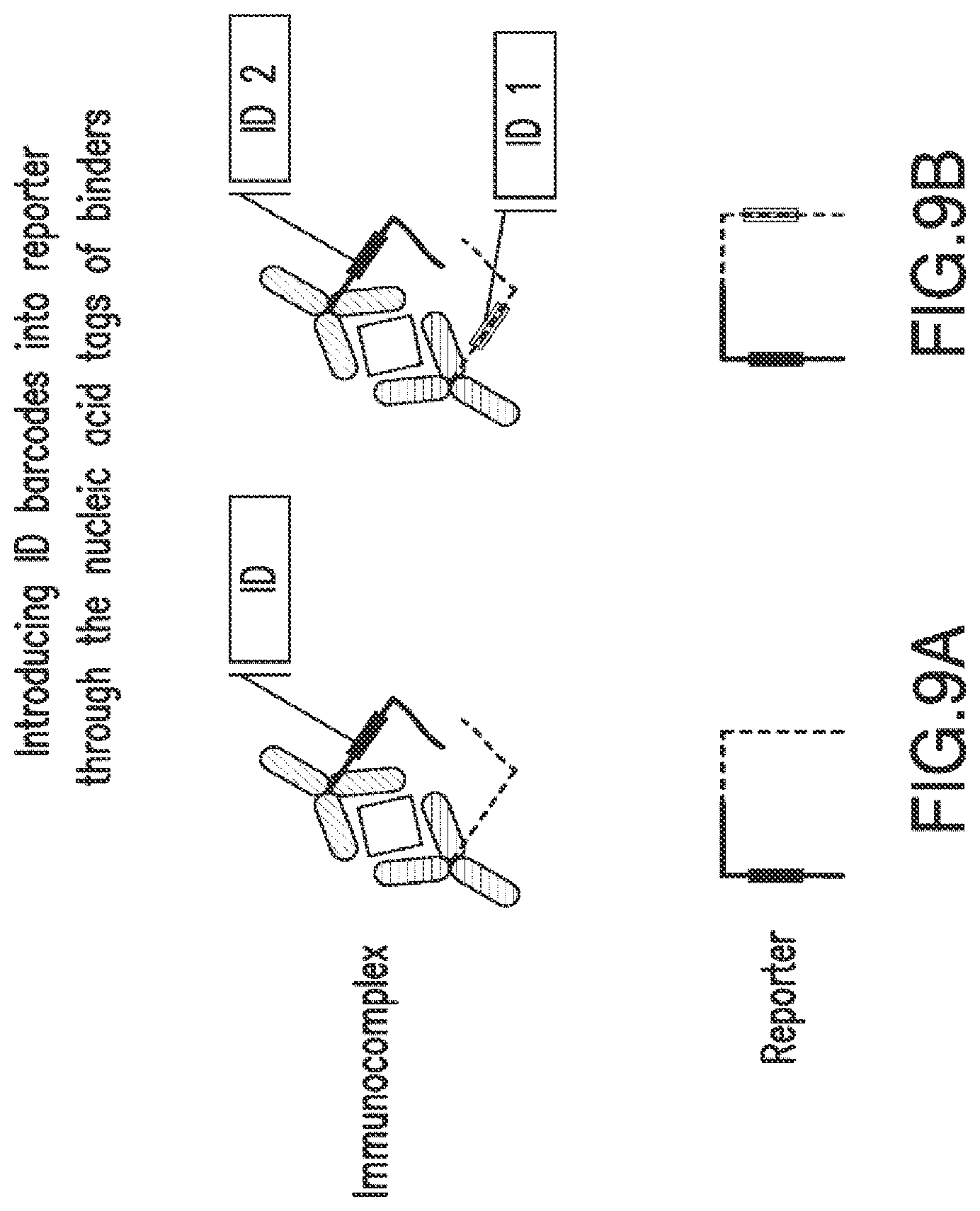 Patent US12105084 Figure 14 – Nucleic acid linked immune-sandwich assay (NULISA)