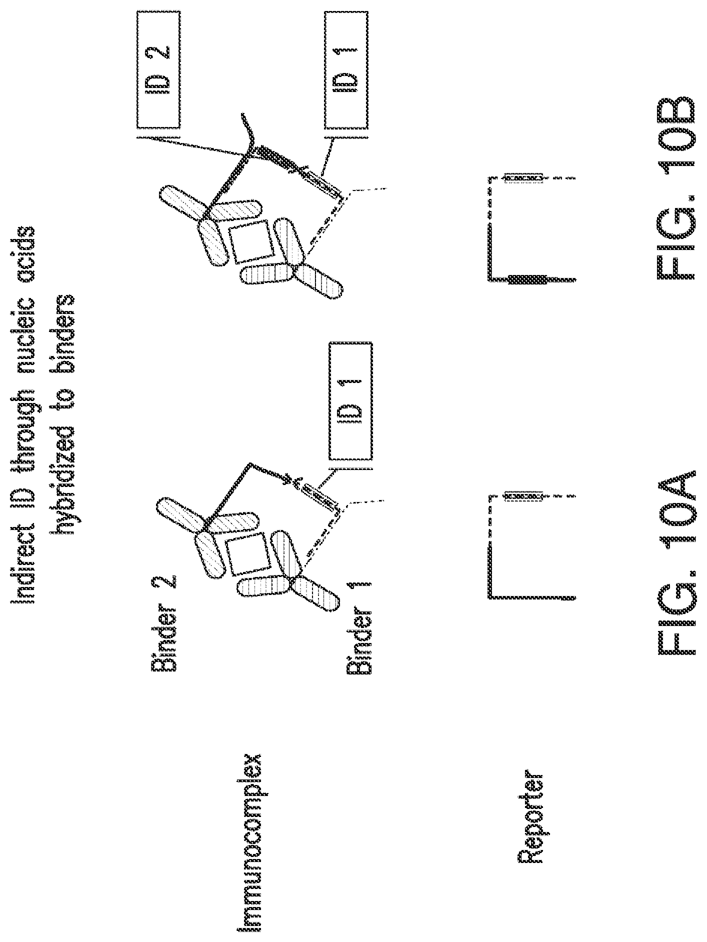 Patent US12105084 Figure 15 – Nucleic acid linked immune-sandwich assay (NULISA)