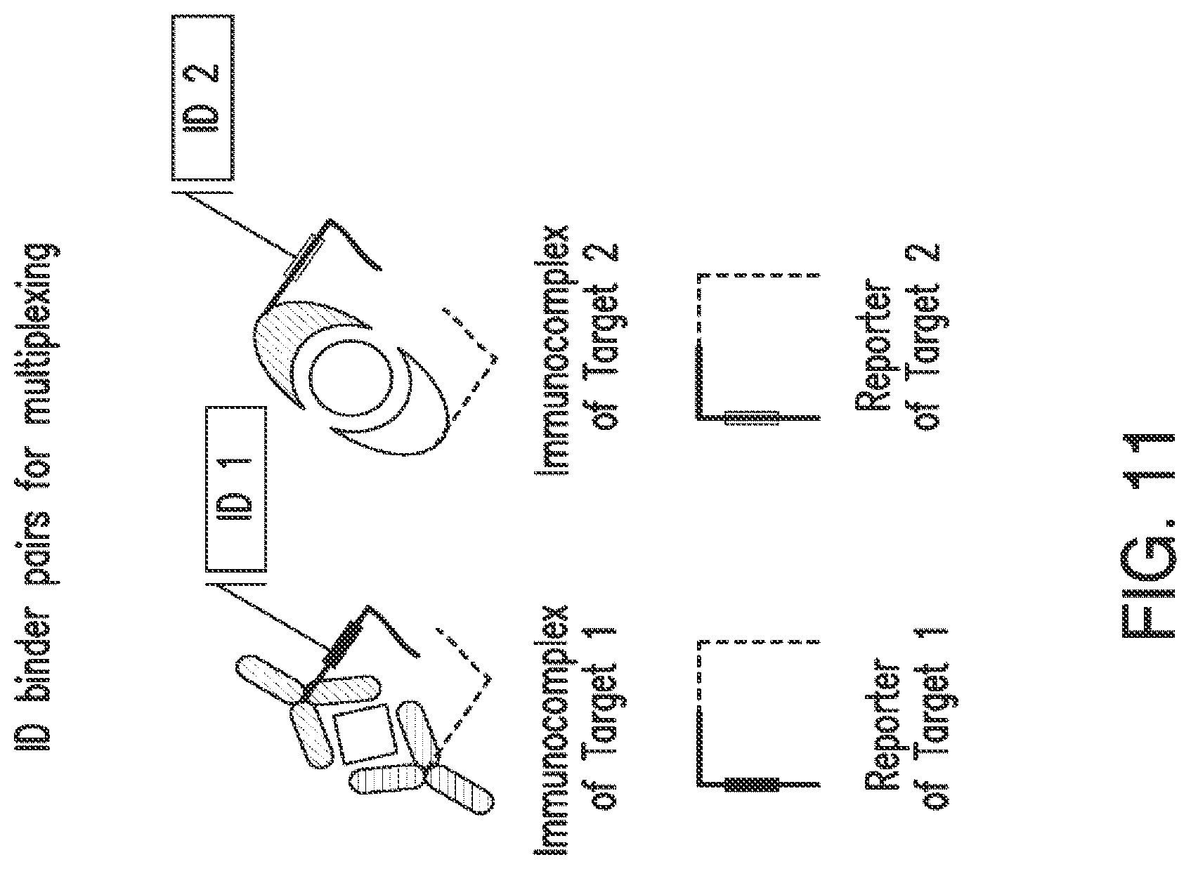 Patent US12105084 Figure 16 – Nucleic acid linked immune-sandwich assay (NULISA)