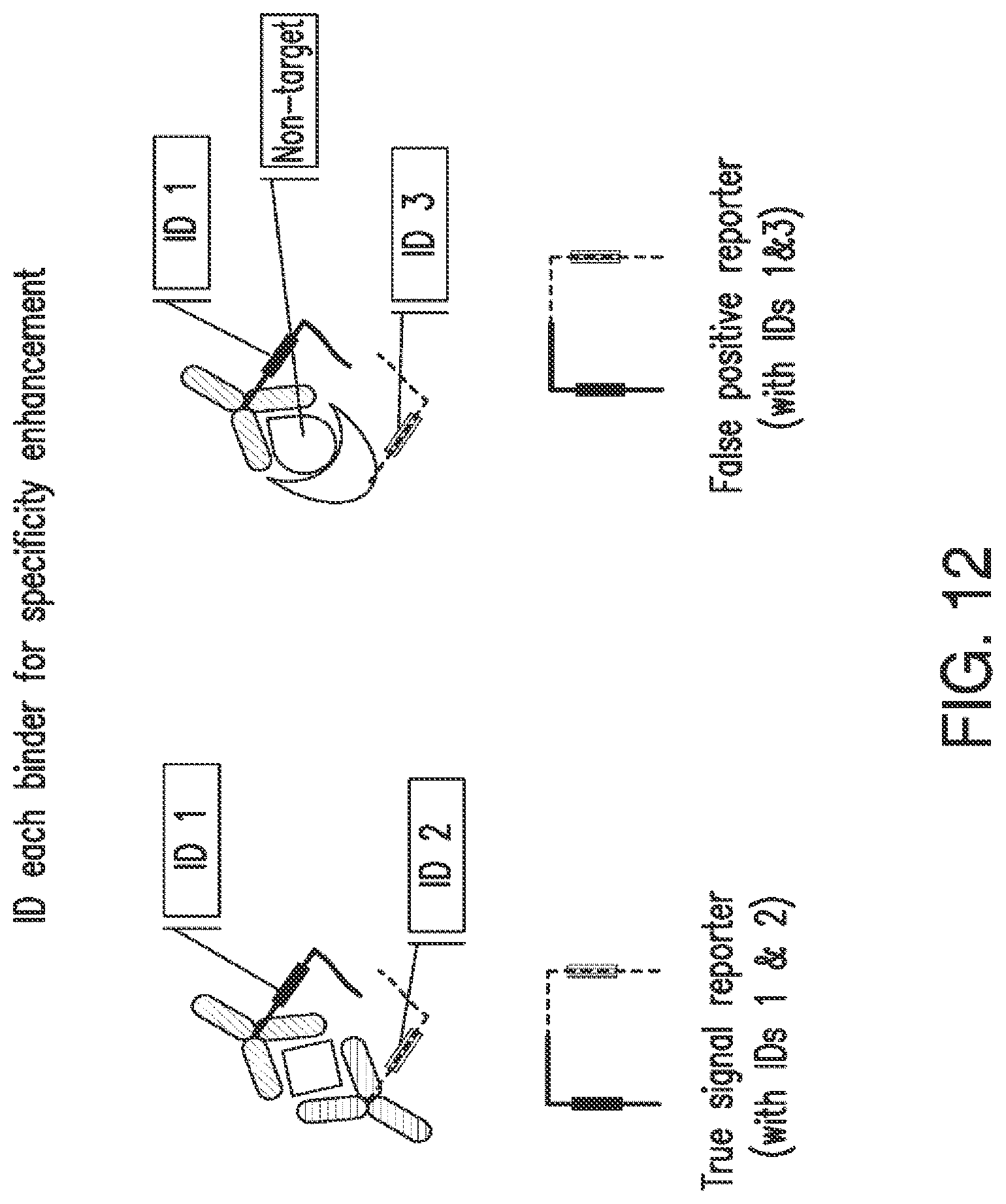 Patent US12105084 Figure 17 – Nucleic acid linked immune-sandwich assay (NULISA)