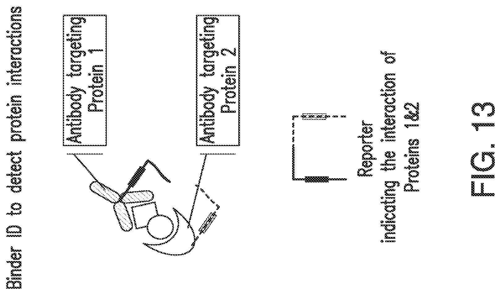 Patent US12105084 Figure 18 – Nucleic acid linked immune-sandwich assay (NULISA)