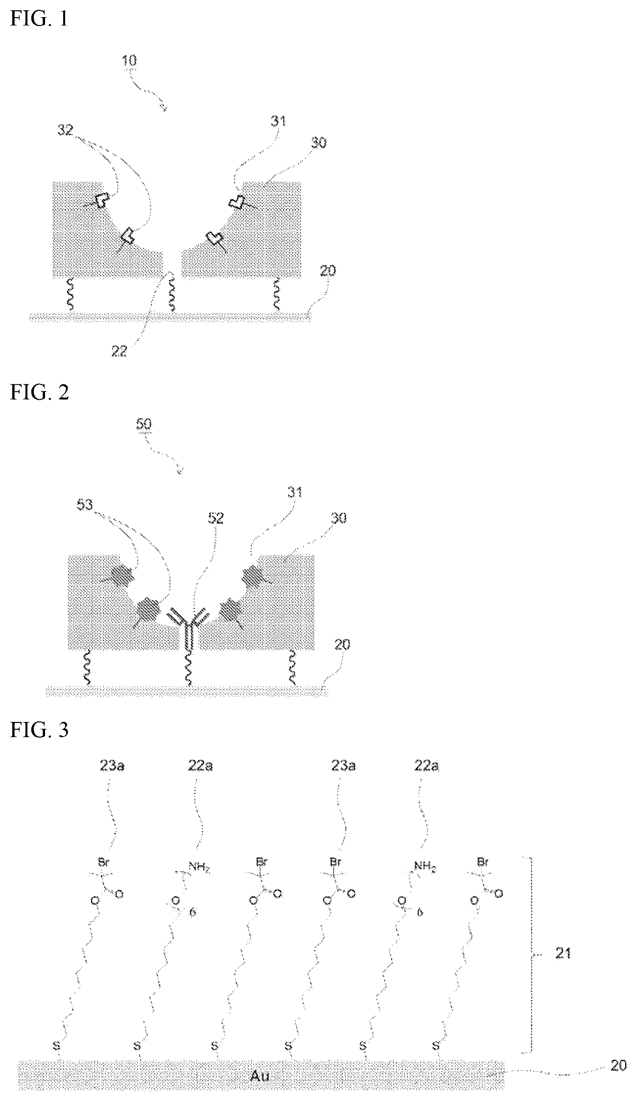 Patent US12105085 Figure 1 – Base material for manufacturing sensor for analyzing detection target, sensor for analyzing detection target, method for analyzing detection target