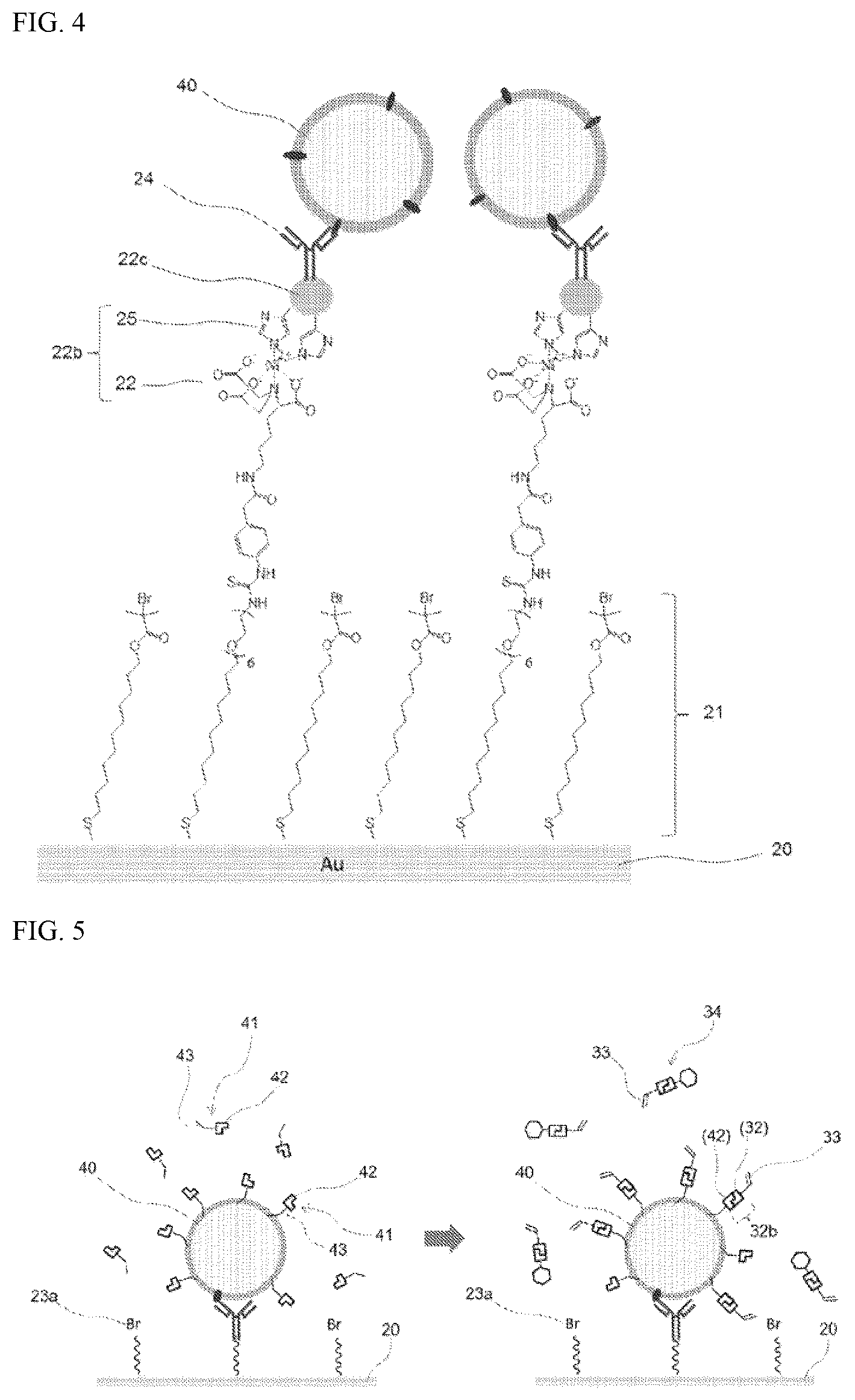 Patent US12105085 Figure 2 – Base material for manufacturing sensor for analyzing detection target, sensor for analyzing detection target, method for analyzing detection target