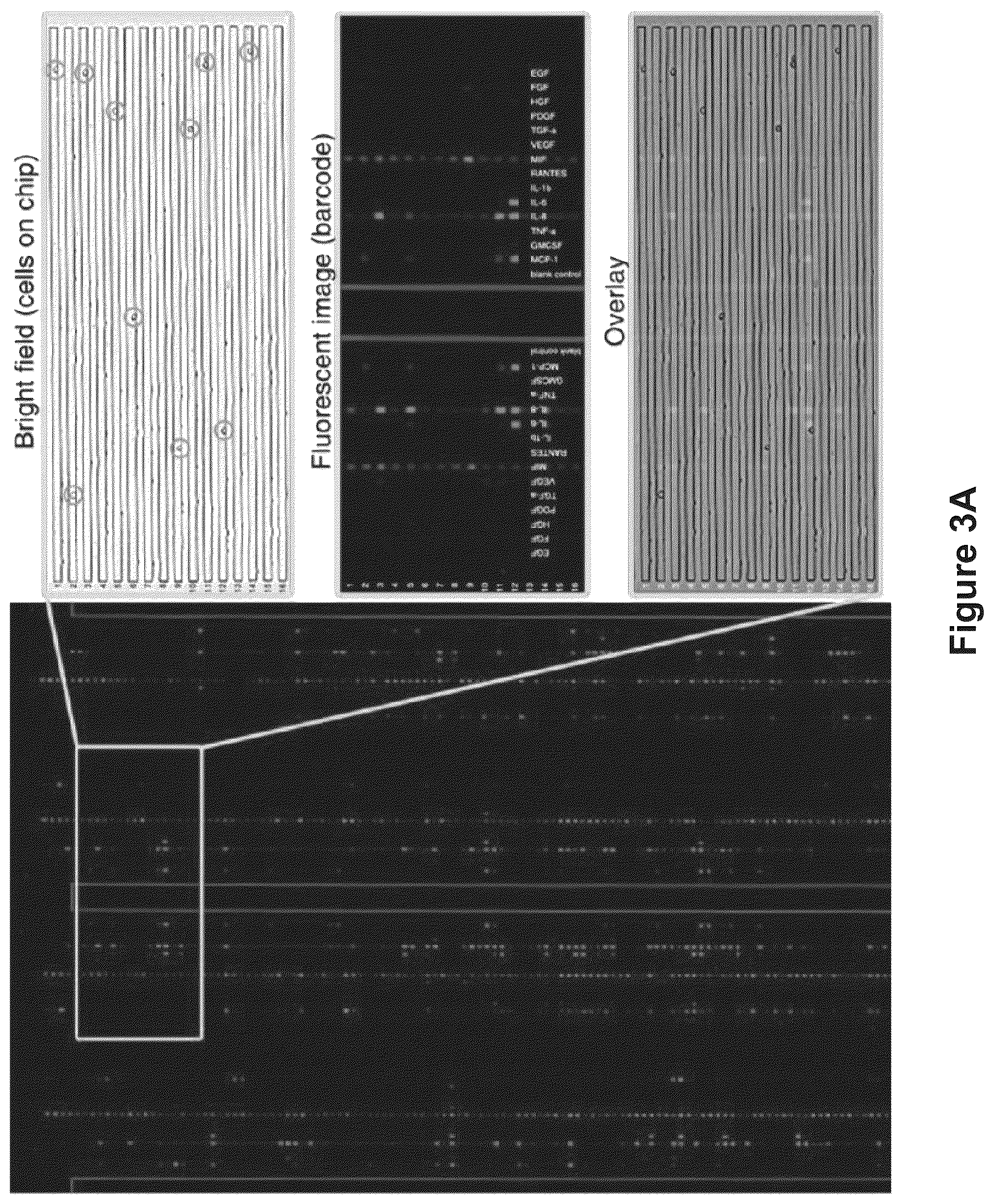 Patent US12105086 Figure 3 – System, device and method for high-throughput multi-plexed detection