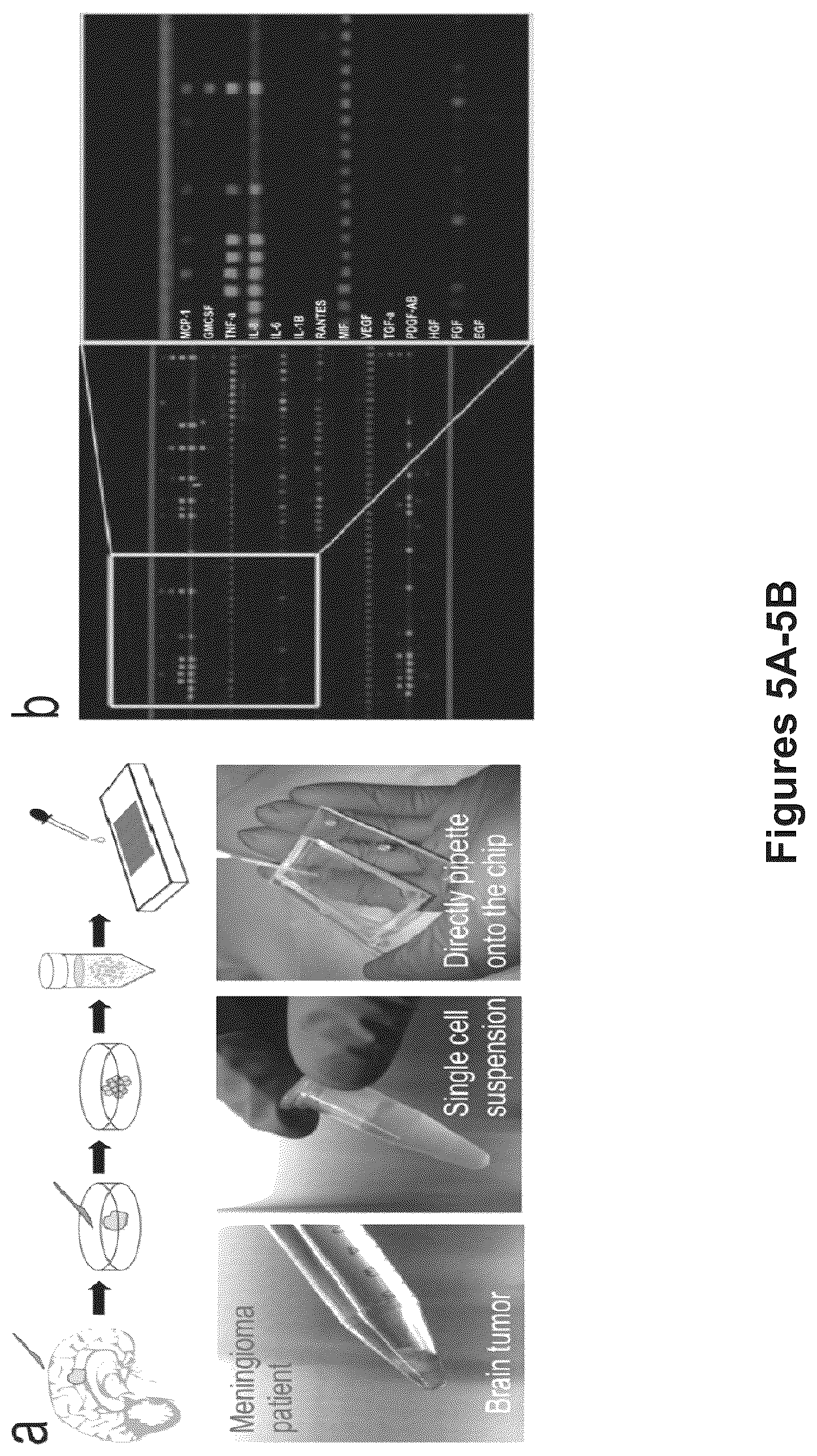 Patent US12105086 Figure 8 – System, device and method for high-throughput multi-plexed detection