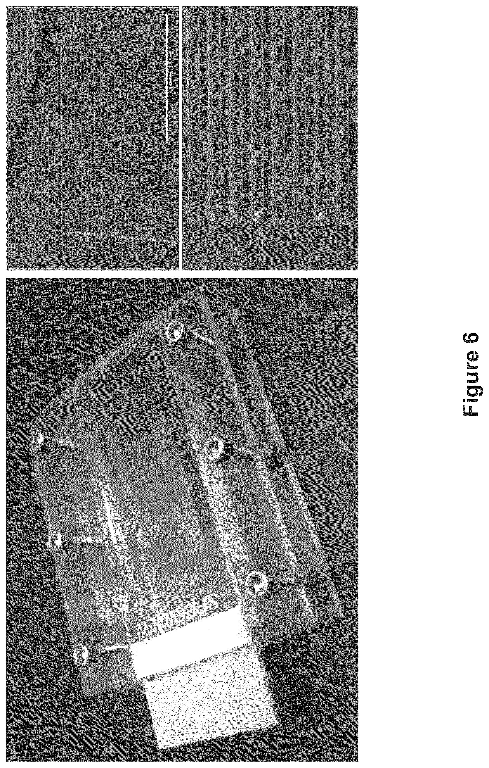 Patent US12105086 Figure 10 – System, device and method for high-throughput multi-plexed detection