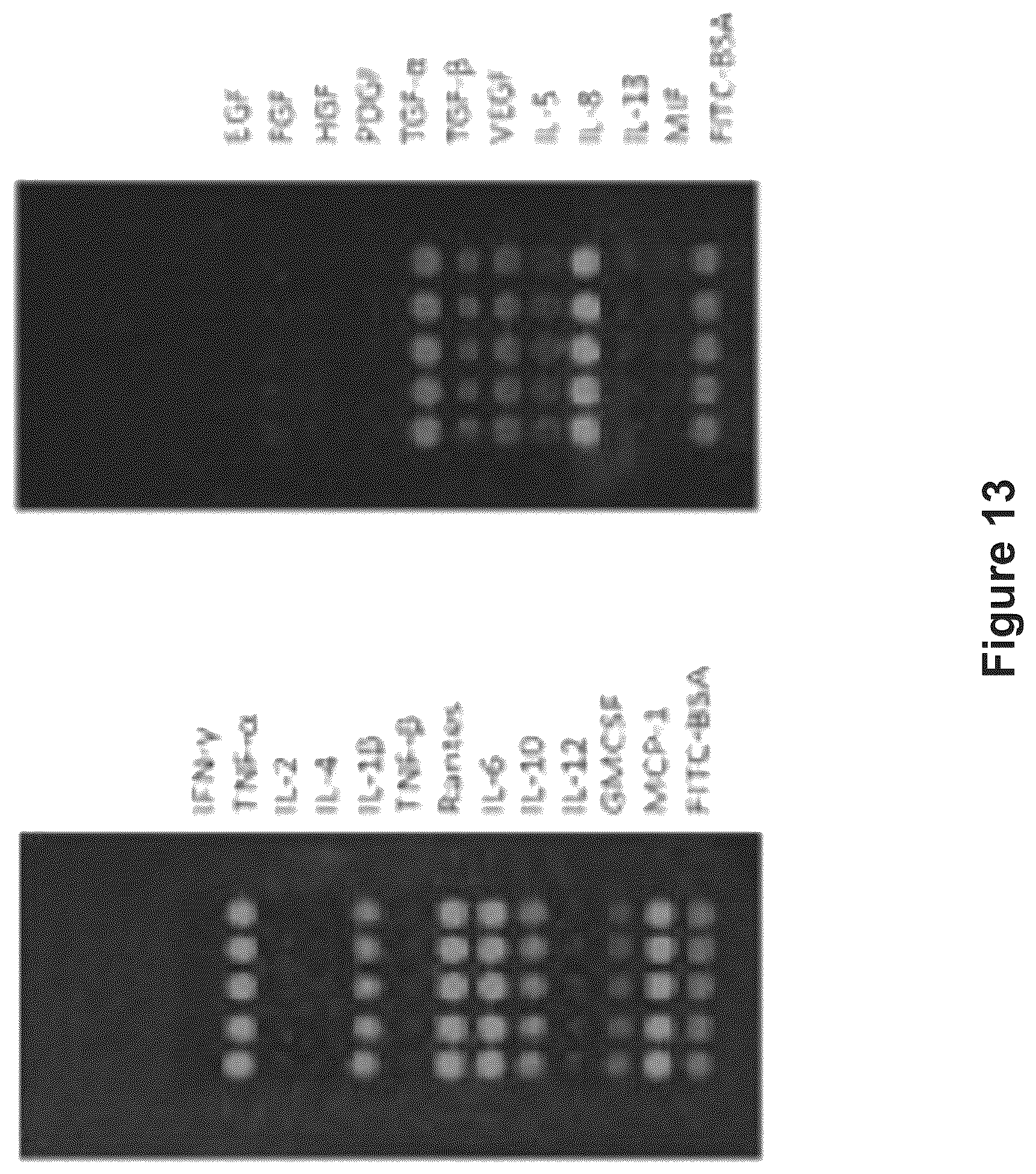 Patent US12105086 Figure 19 – System, device and method for high-throughput multi-plexed detection