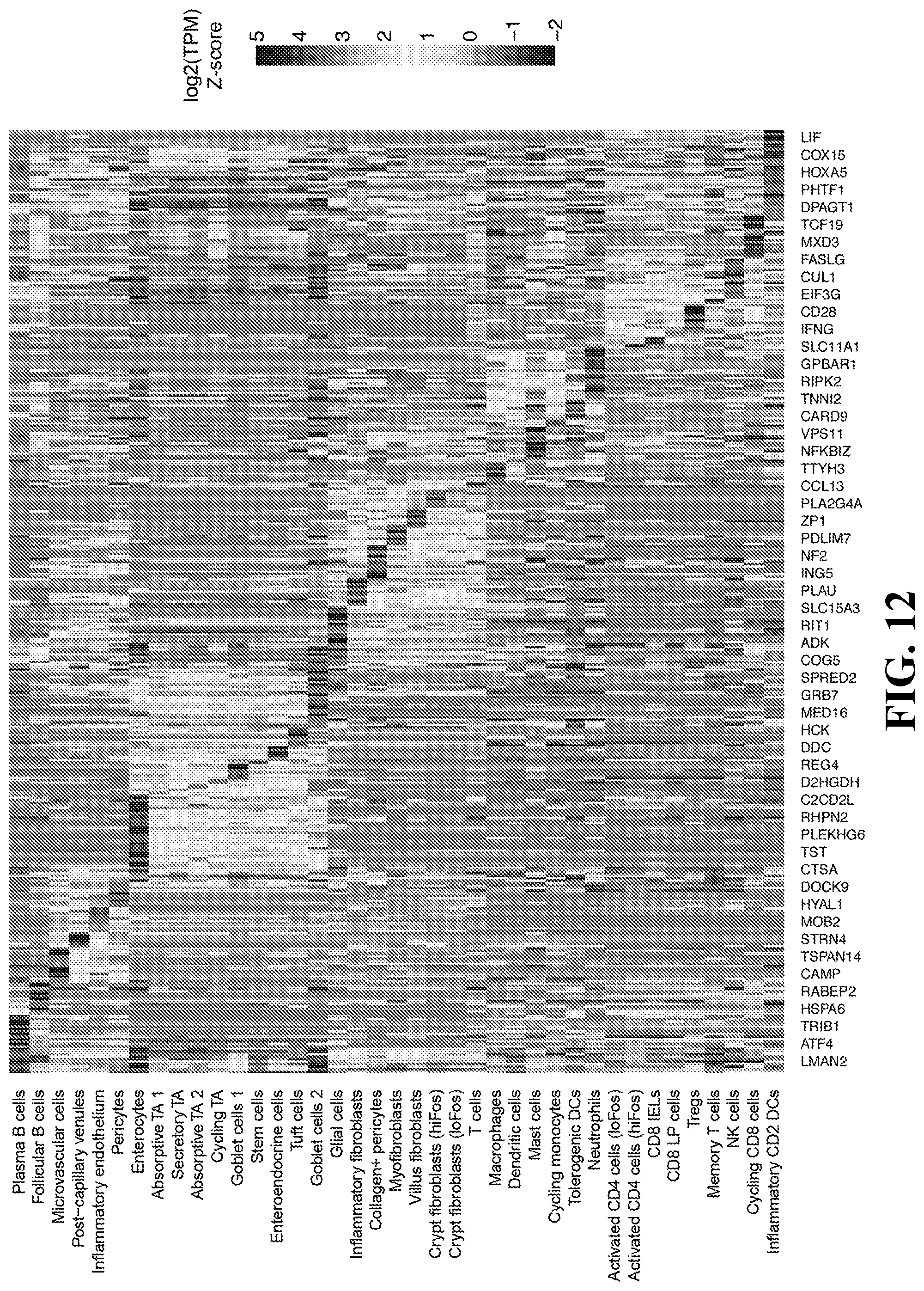 Patent US12105089 Figure 12 – Cell atlas of the healthy and ulcerative colitis human colon