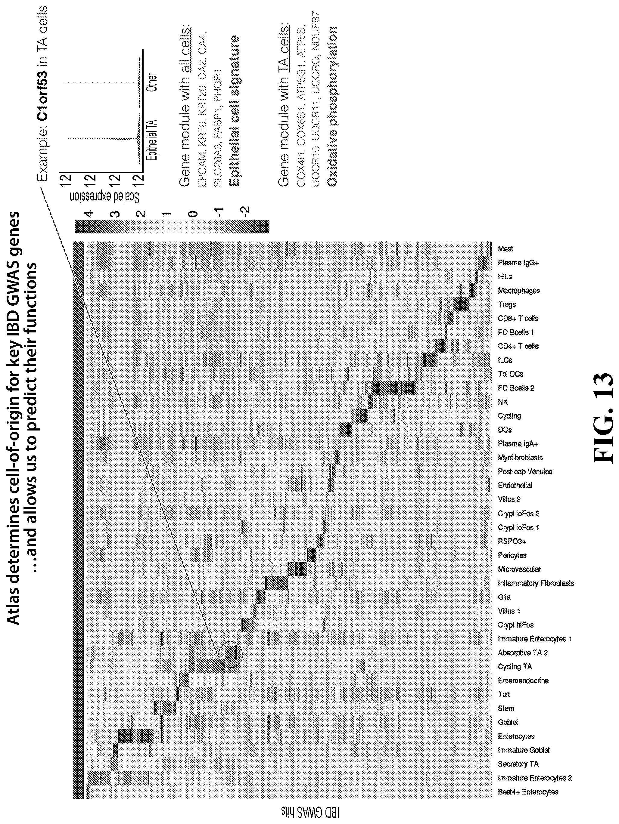 Patent US12105089 Figure 13 – Cell atlas of the healthy and ulcerative colitis human colon