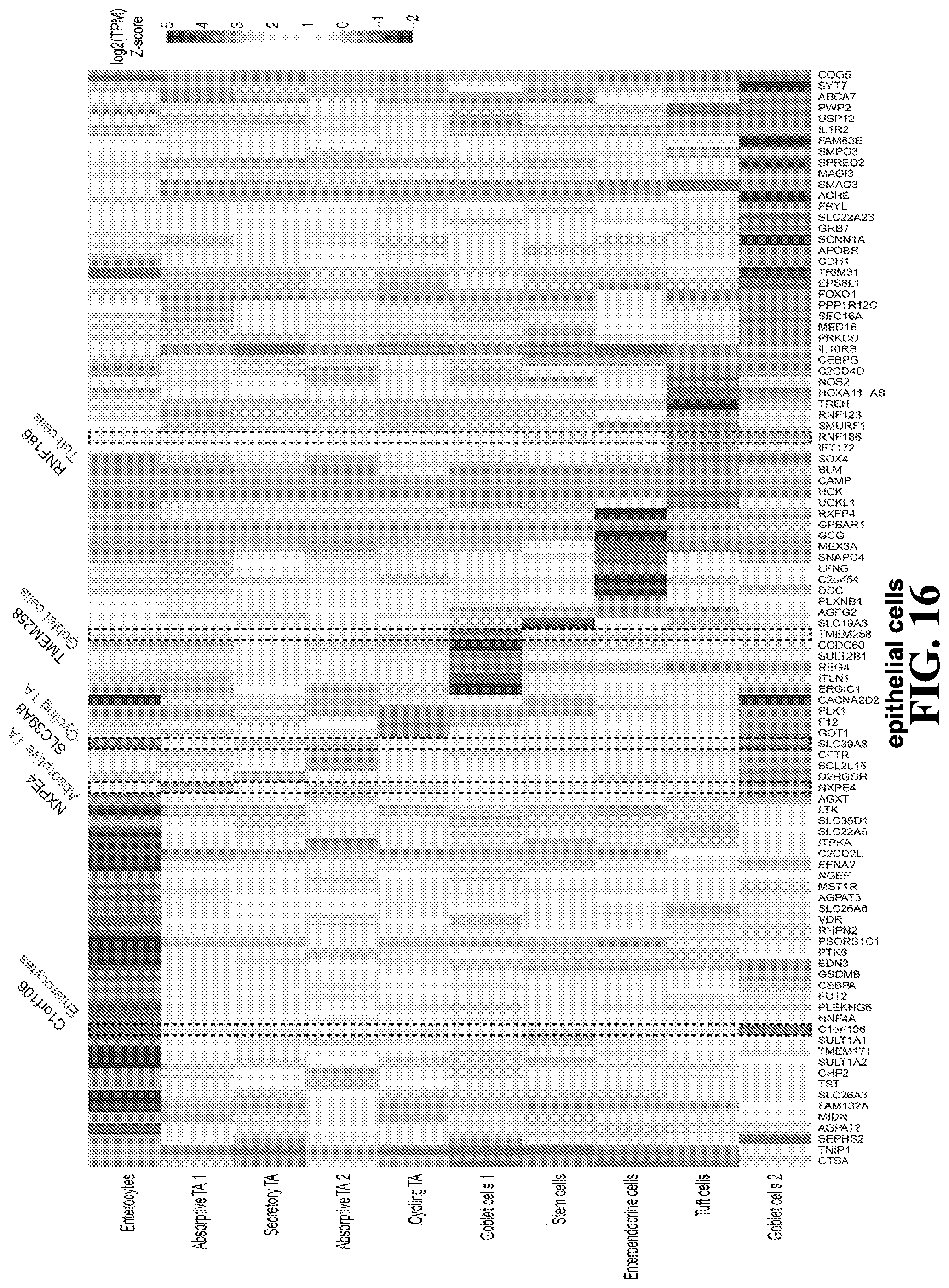 Patent US12105089 Figure 16 – Cell atlas of the healthy and ulcerative colitis human colon