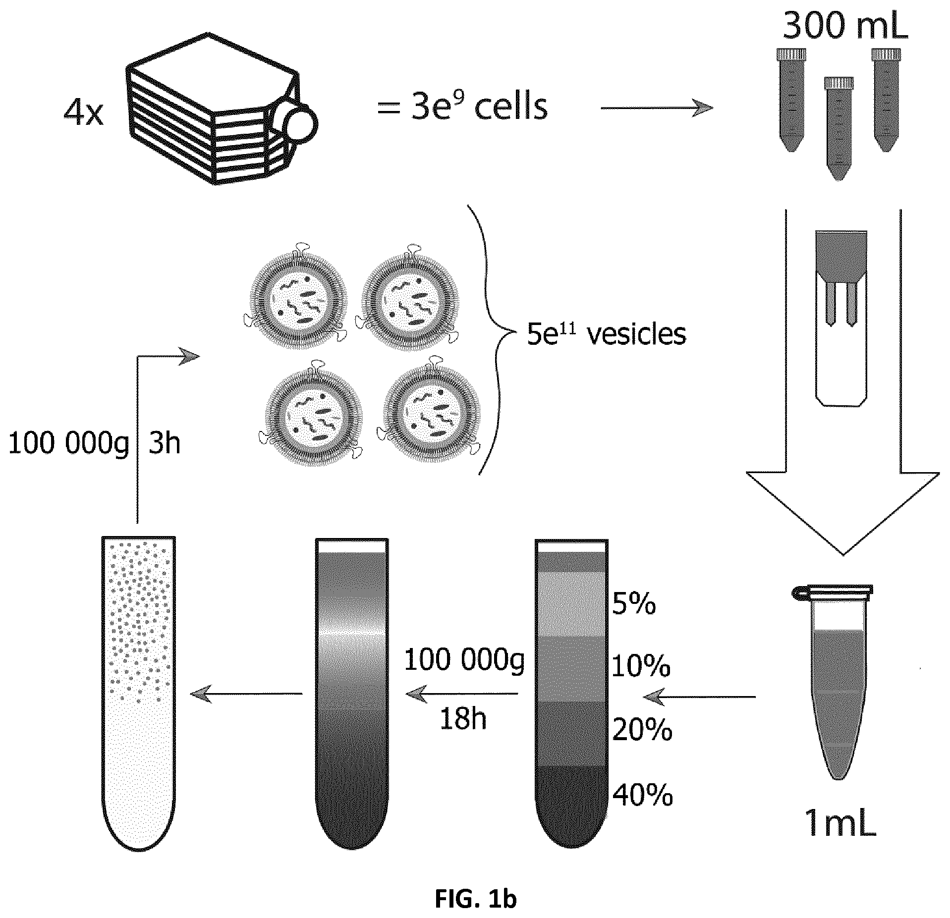 Patent US12105091 Figure 2 – Usages of recombinant extracellular vesicles