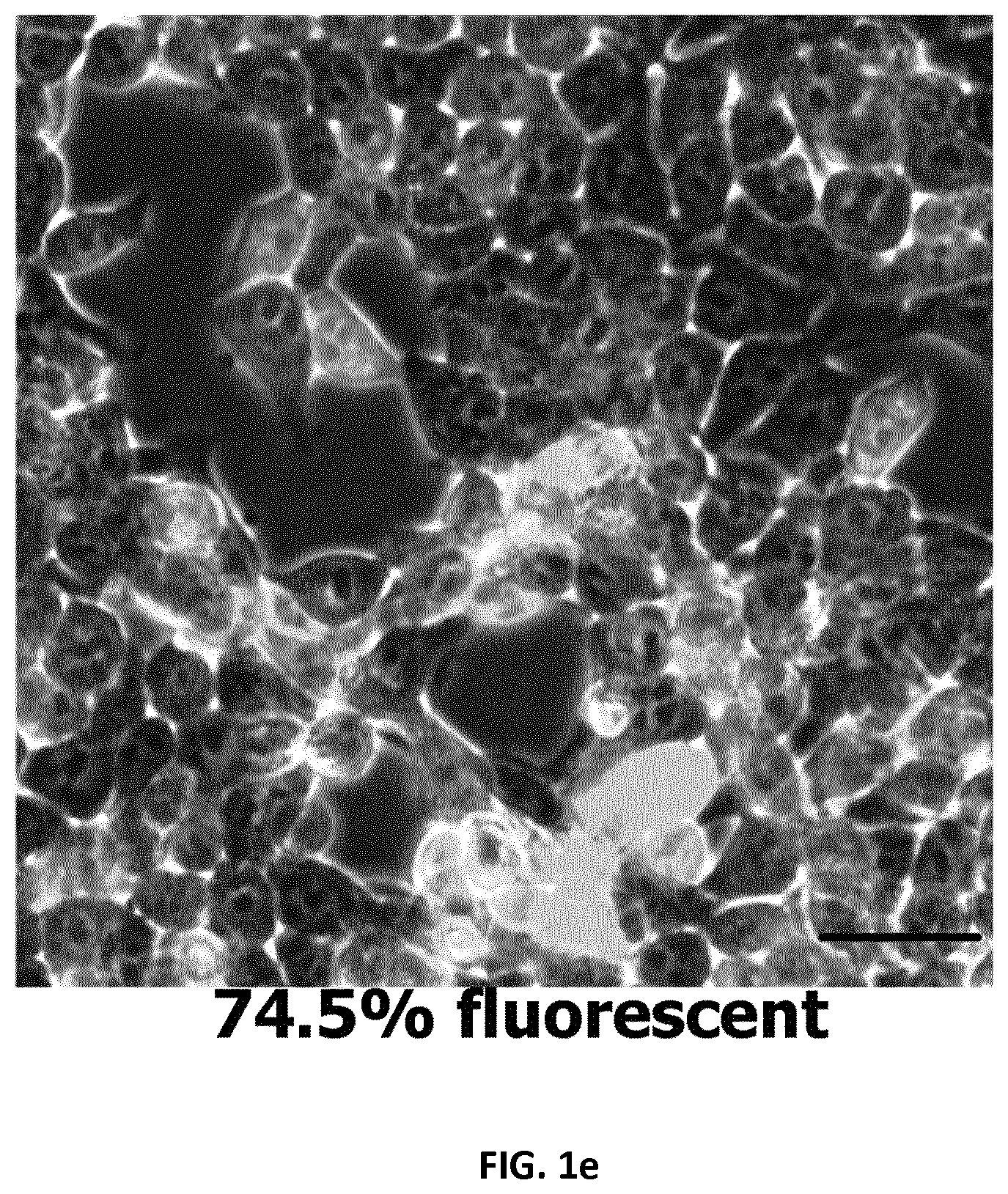 Patent US12105091 Figure 5 – Usages of recombinant extracellular vesicles