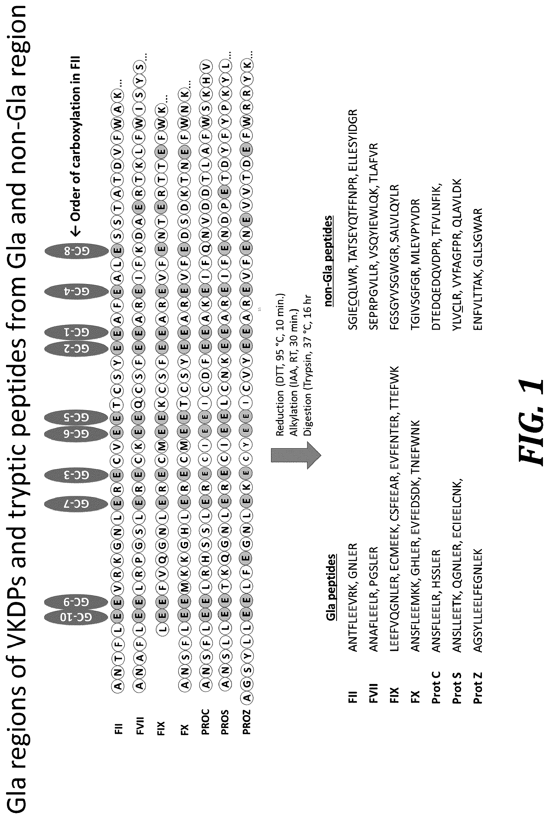Patent US12105093 Figure 1 – Quantitation of GLA proteins by mass spectrometric analysis