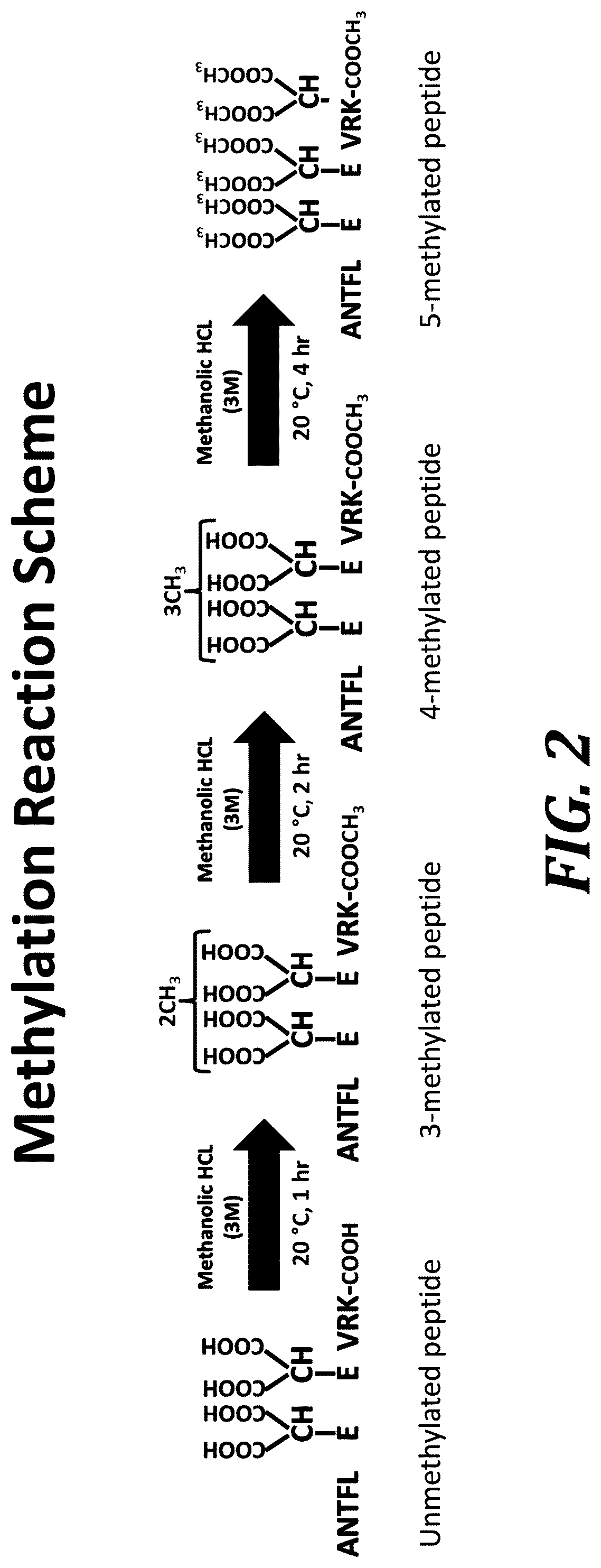 Patent US12105093 Figure 2 – Quantitation of GLA proteins by mass spectrometric analysis