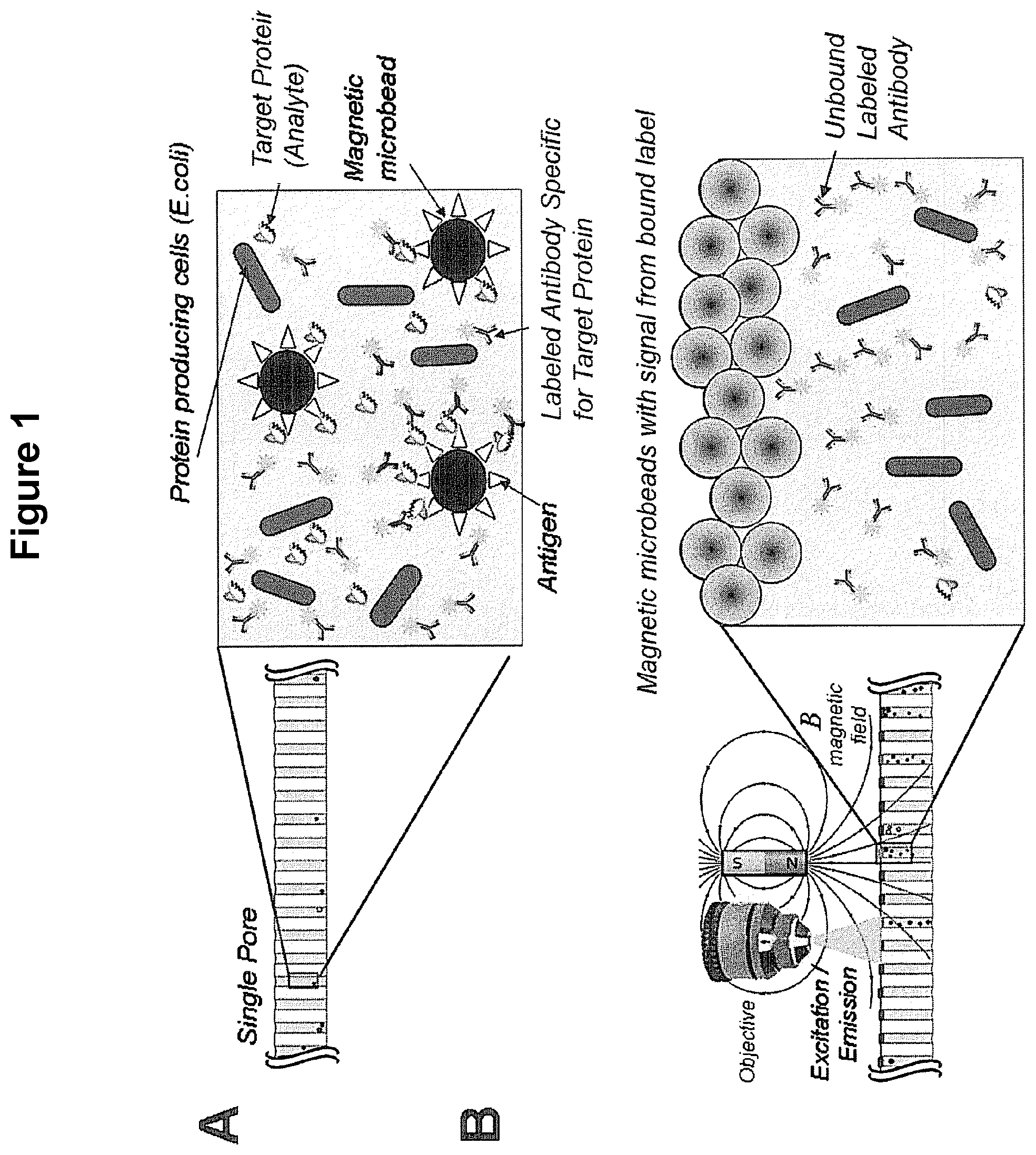 Patent US12105108 Figure 1 – Scalable bio-element analysis